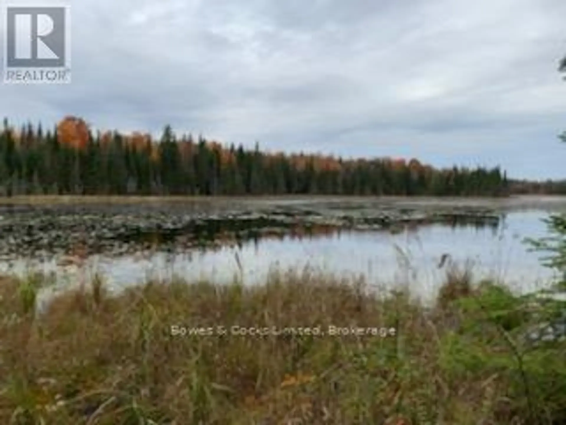 246 HICKEY TRAIL - Image 15