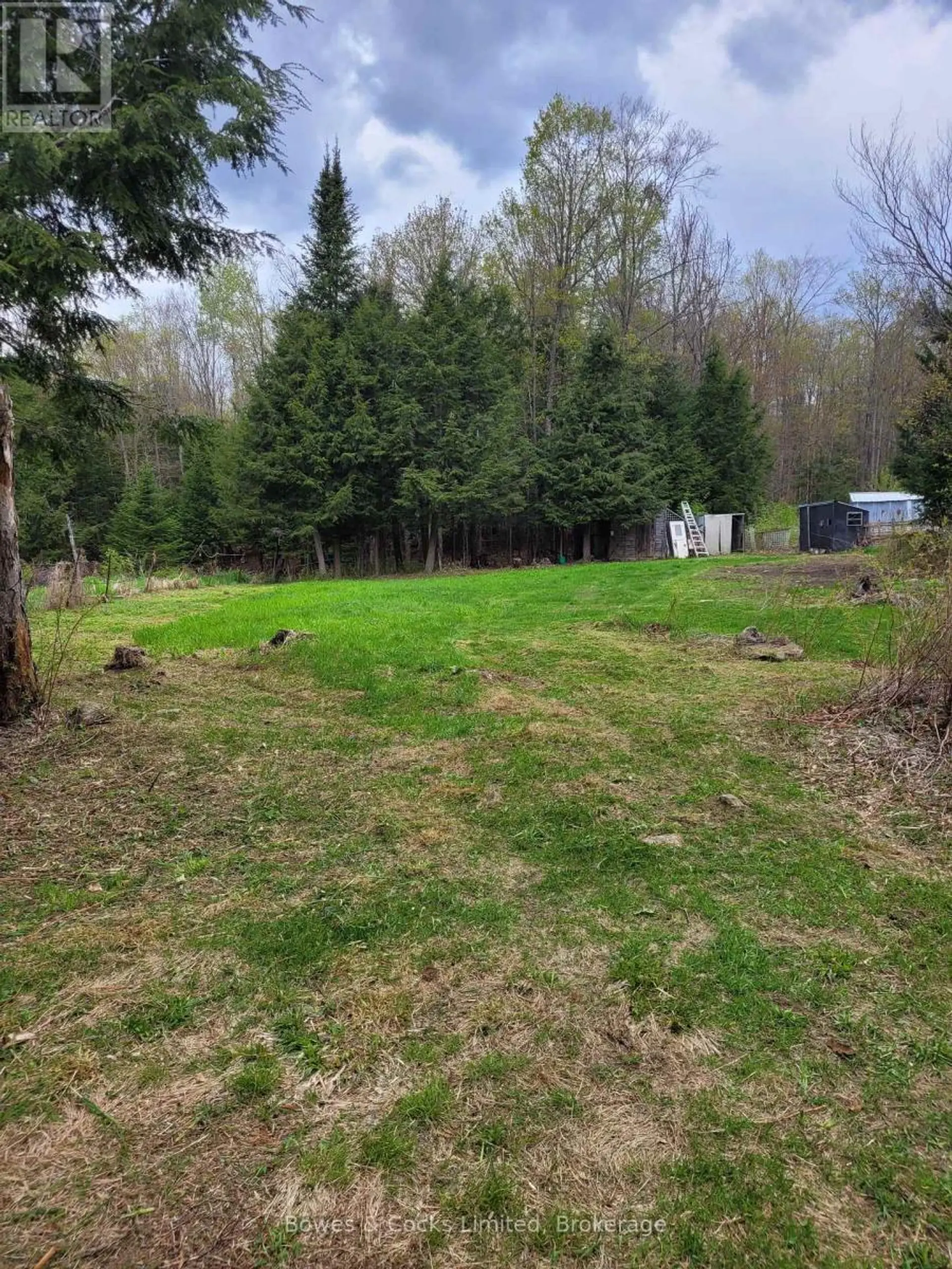 246 HICKEY TRAIL - Image 3