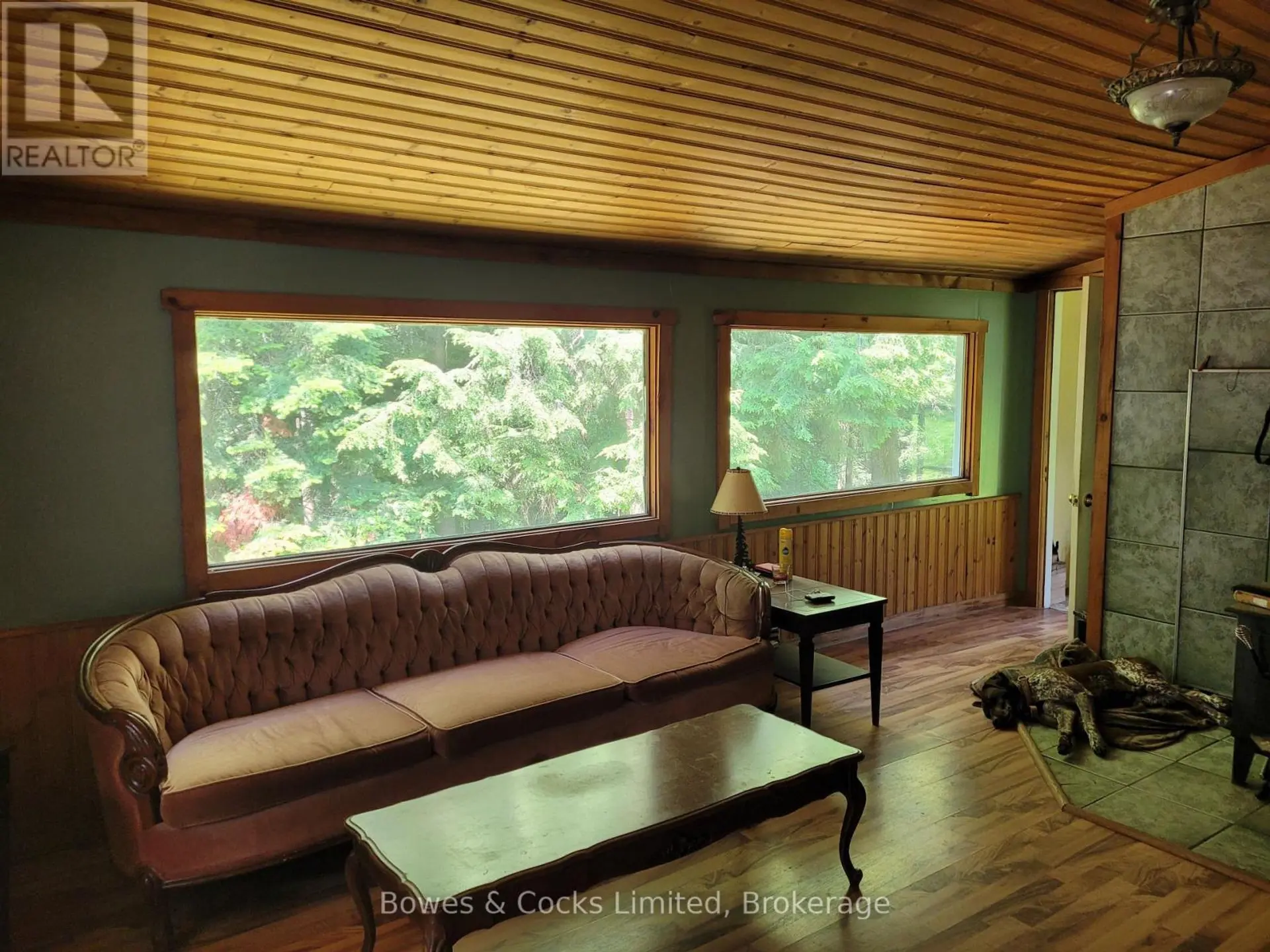 246 HICKEY TRAIL - Image 7