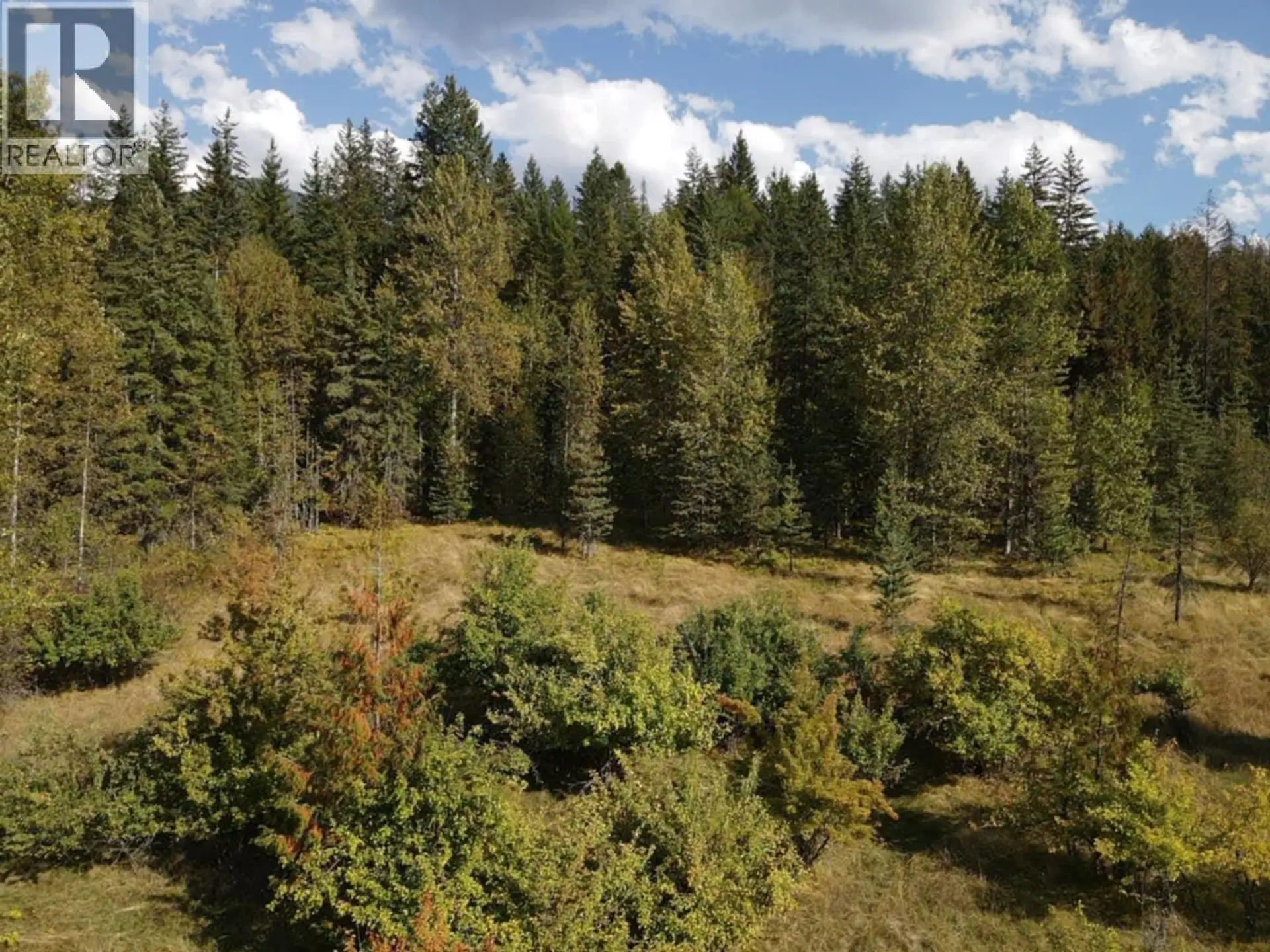 Property at LOT 4 ALEXANDER ROAD, Nakusp, BC