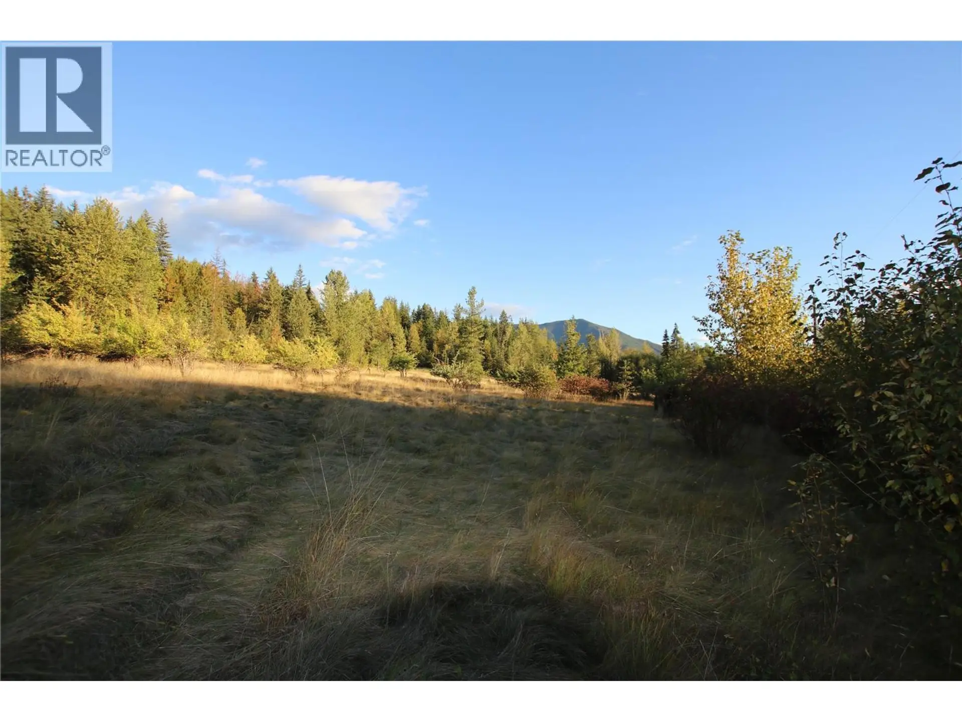 Property at LOT 4 ALEXANDER ROAD, Nakusp, BC