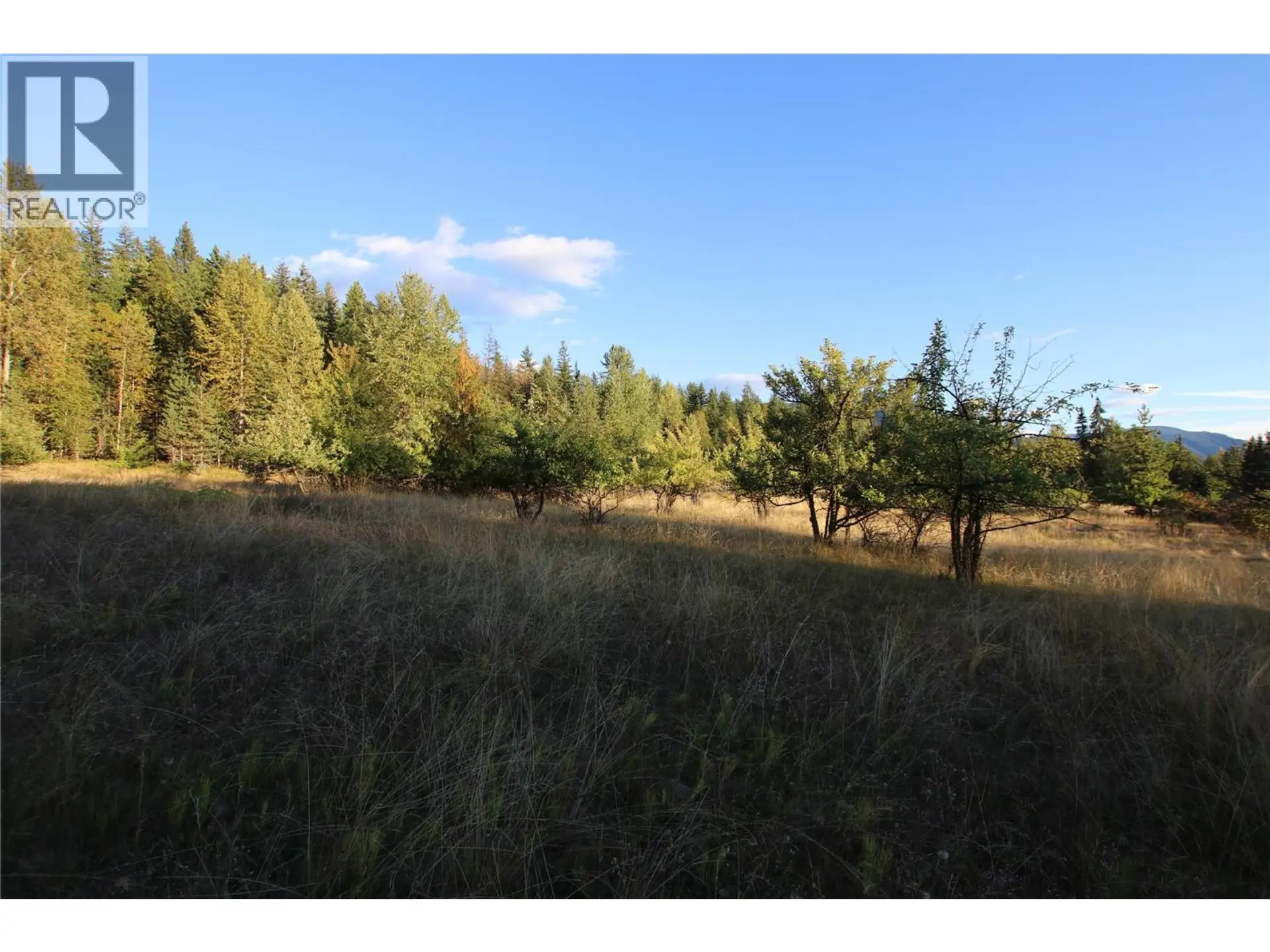 Property at LOT 4 ALEXANDER ROAD, Nakusp, BC