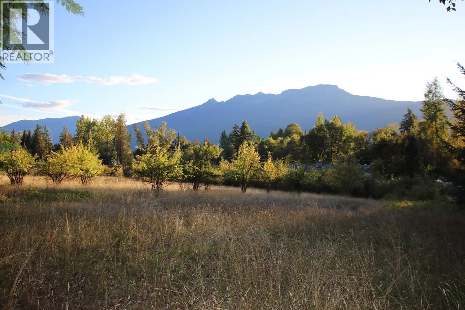 Property at LOT 4 ALEXANDER ROAD, Nakusp, BC