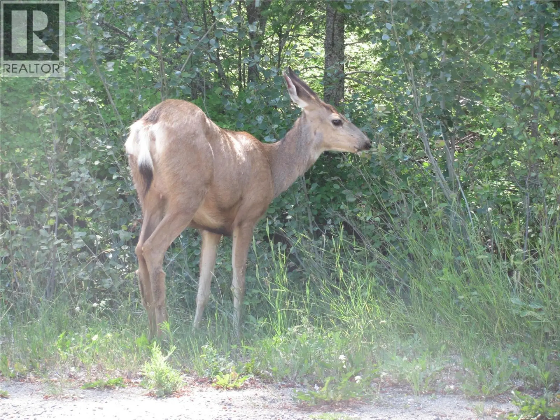 Property at DUNWATERS ROAD LOT# 84, Fintry, BC