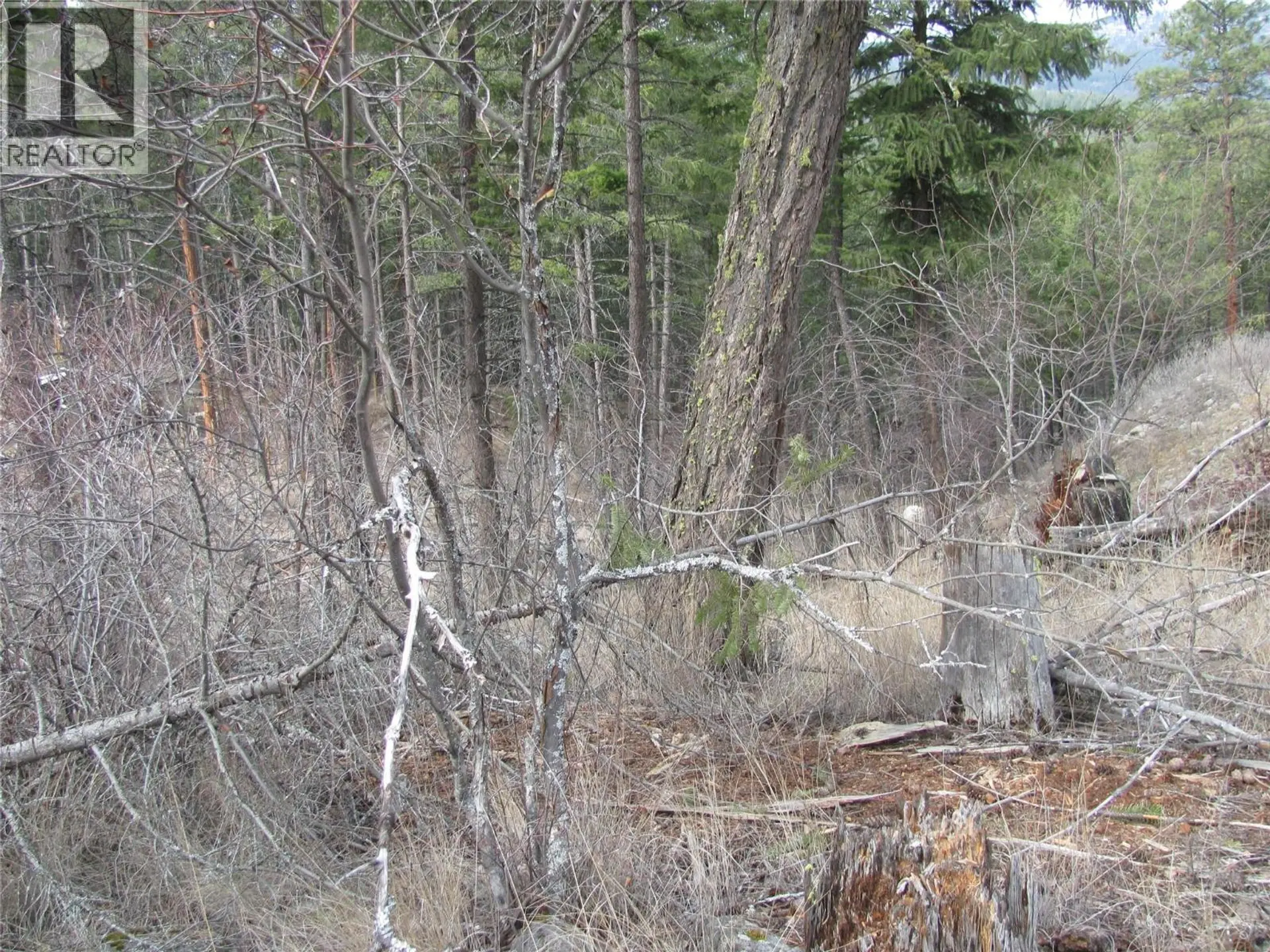 Property at DUNWATERS ROAD LOT# 84, Fintry, BC