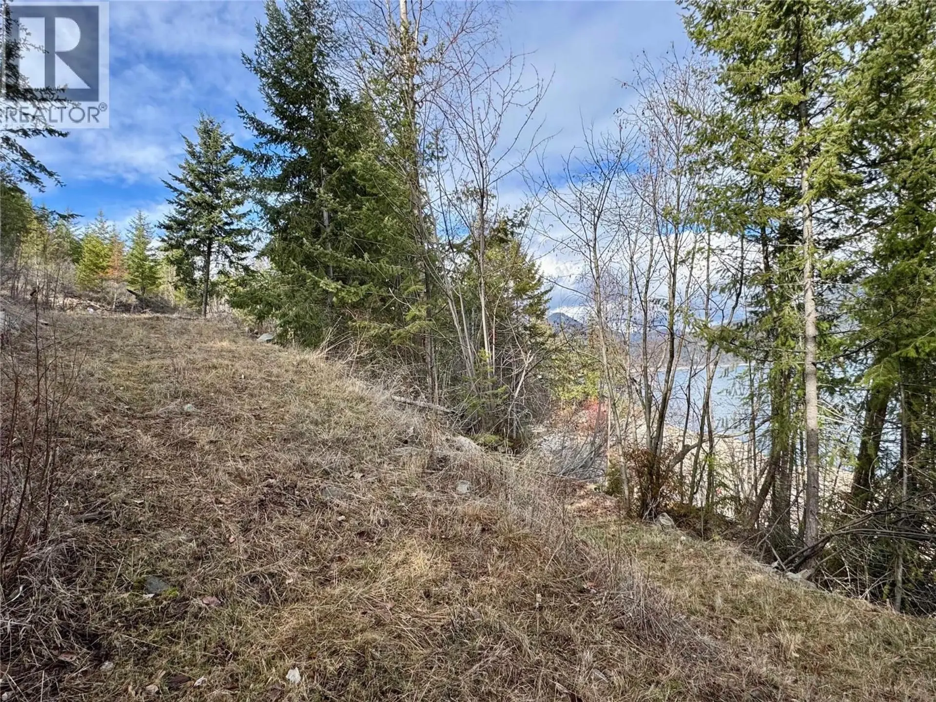 Property at LOT 16 OSPREY POINT, Lower Arrow Lake, BC