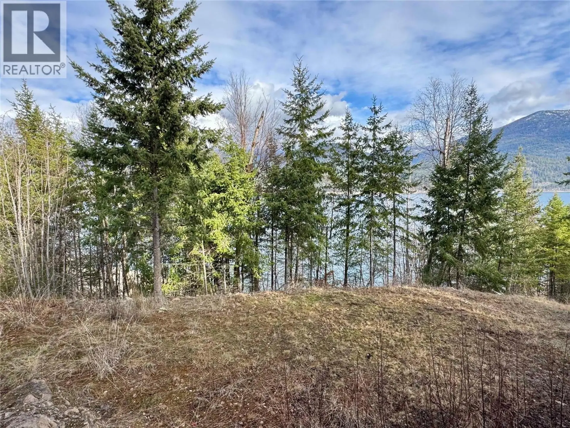 Property at LOT 16 OSPREY POINT, Lower Arrow Lake, BC