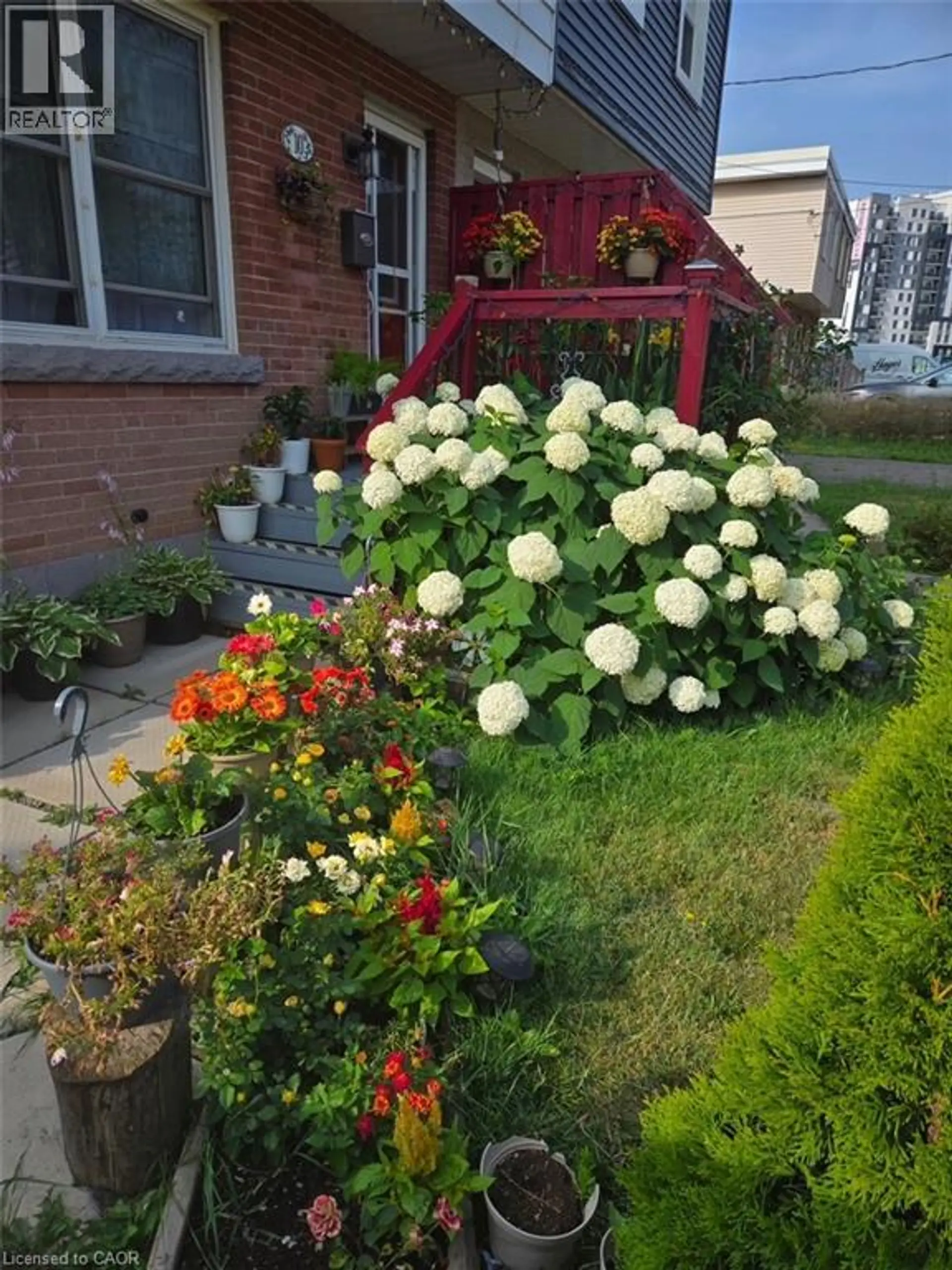 10 ARMSTRONG Avenue - Image 2