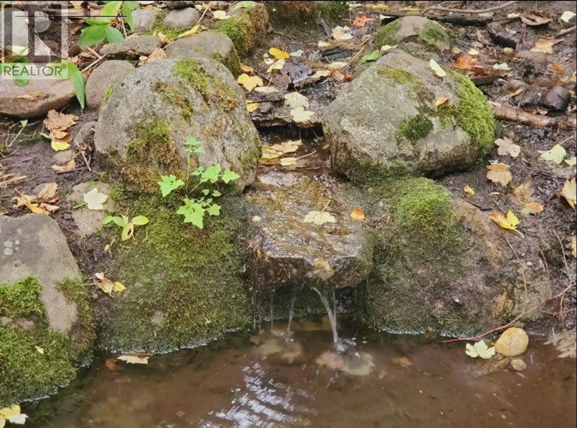 Property at 800 LYNNWOOD CRESCENT, Castlegar, BC