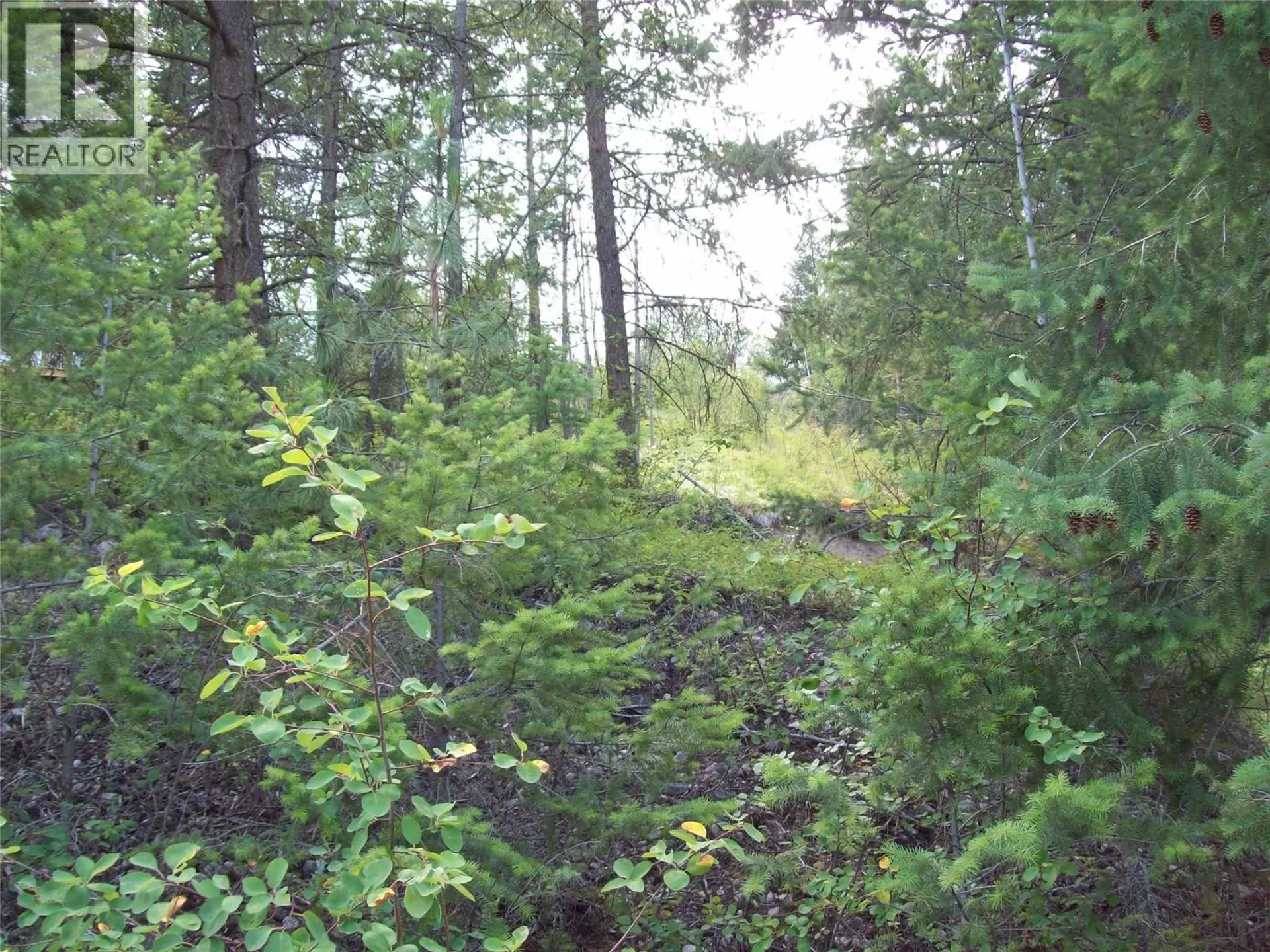 Property at 358 MOUNTAIN DRIVE, Vernon, BC