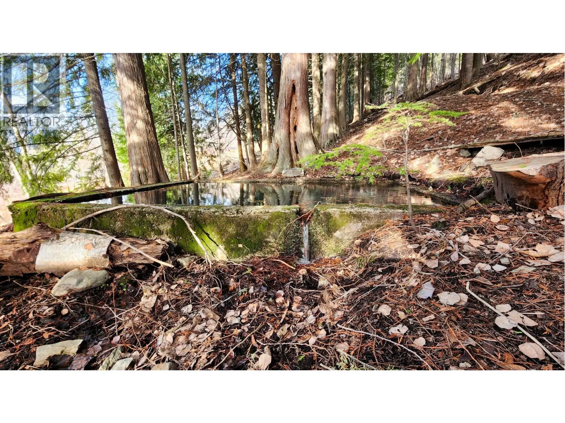 Property at 1600 SOUTH SHEPPARD ROAD, Nelson, BC