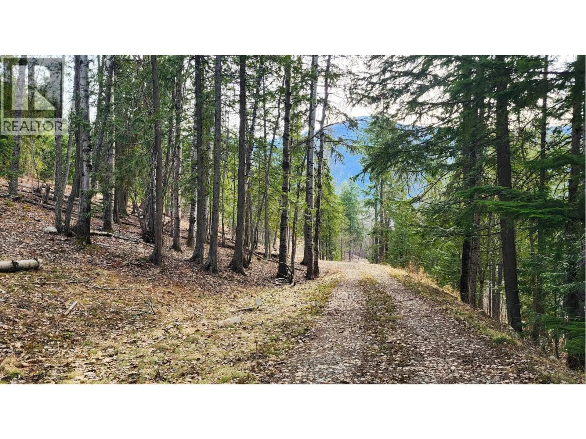 Property at 1600 SOUTH SHEPPARD ROAD, Nelson, BC