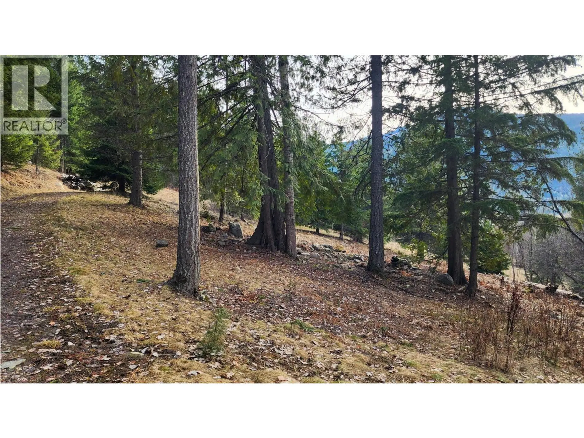 Property at 1600 SOUTH SHEPPARD ROAD, Nelson, BC