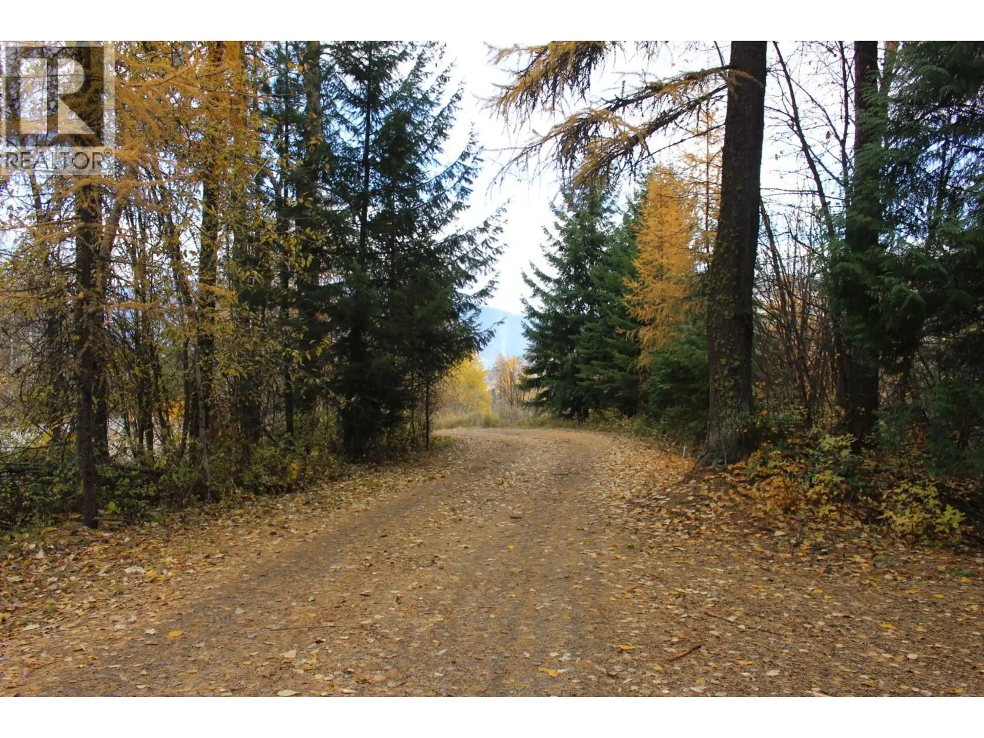 Property at 2640 3B HIGHWAY, Rossland, BC