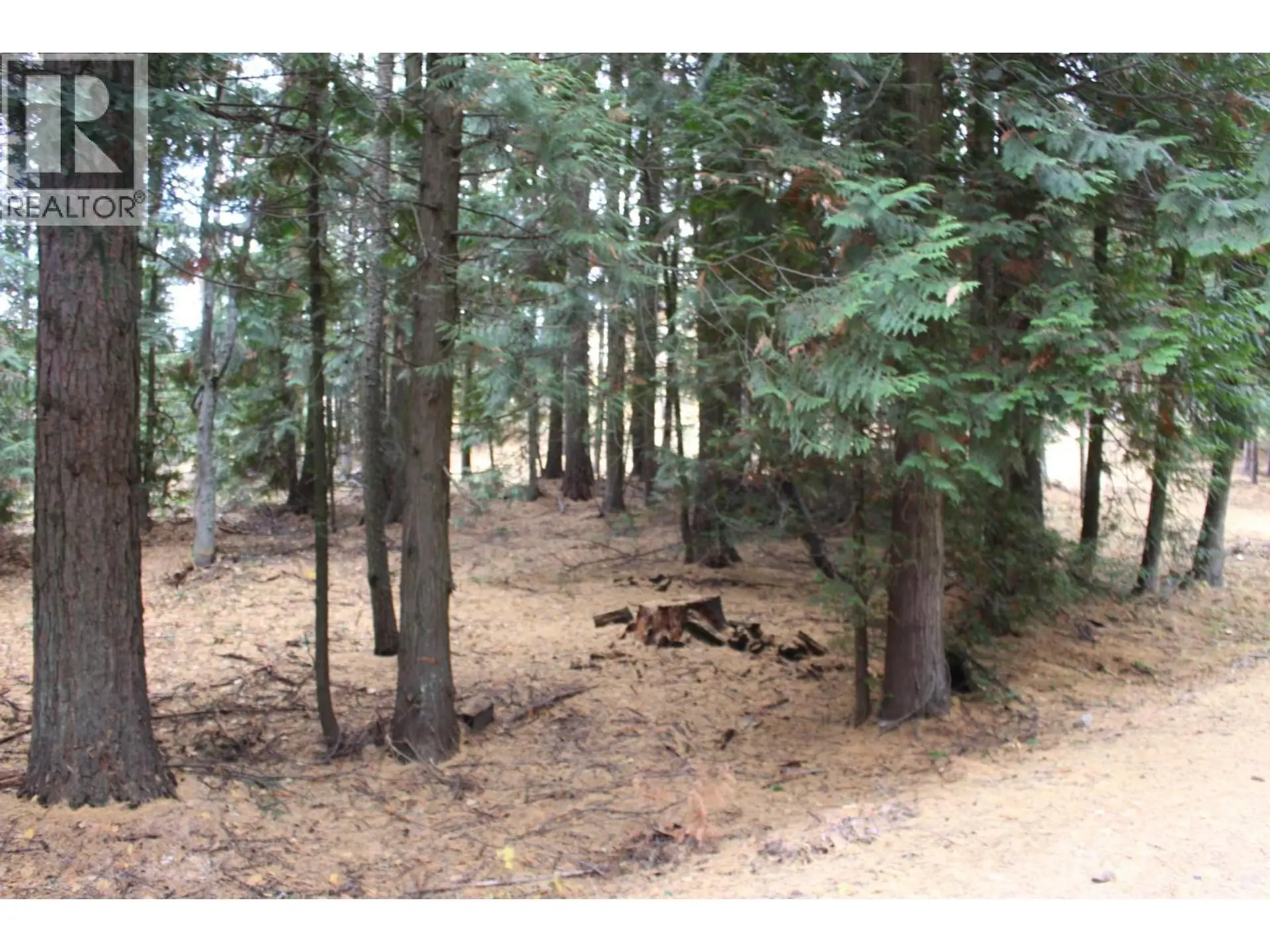 Property at 2640 3B HIGHWAY, Rossland, BC