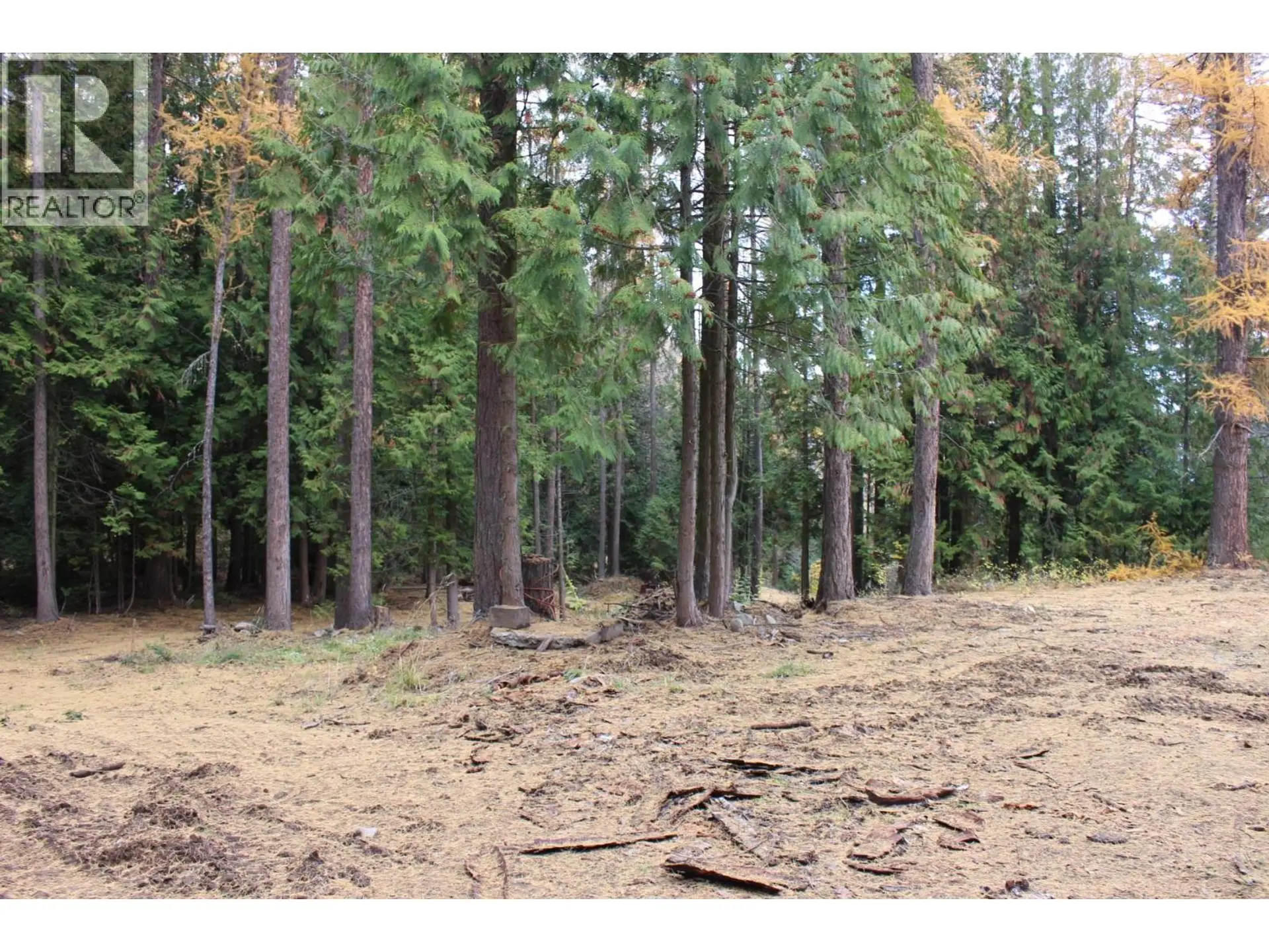 Property at 2640 3B HIGHWAY, Rossland, BC