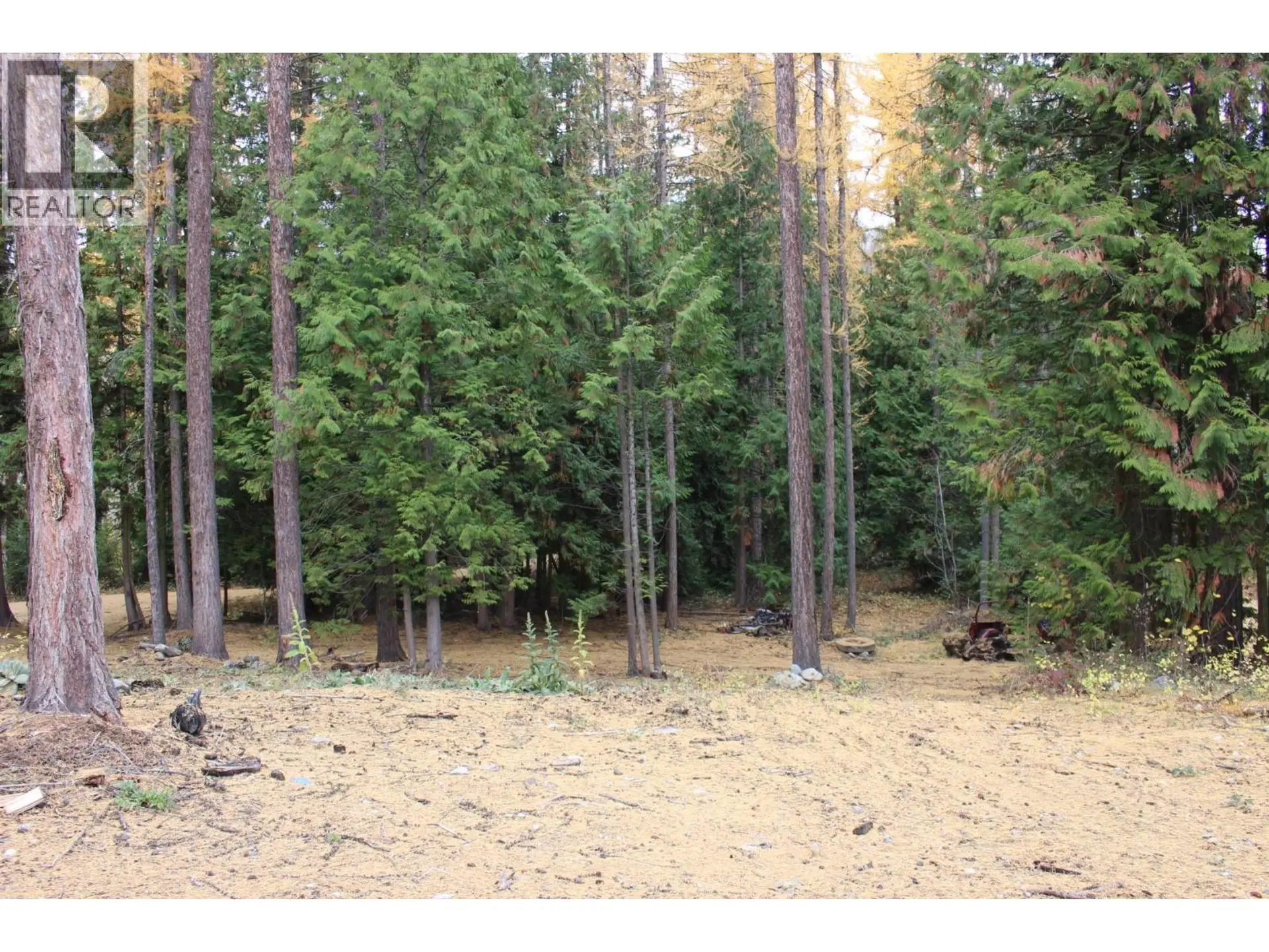 Property at 2640 3B HIGHWAY, Rossland, BC