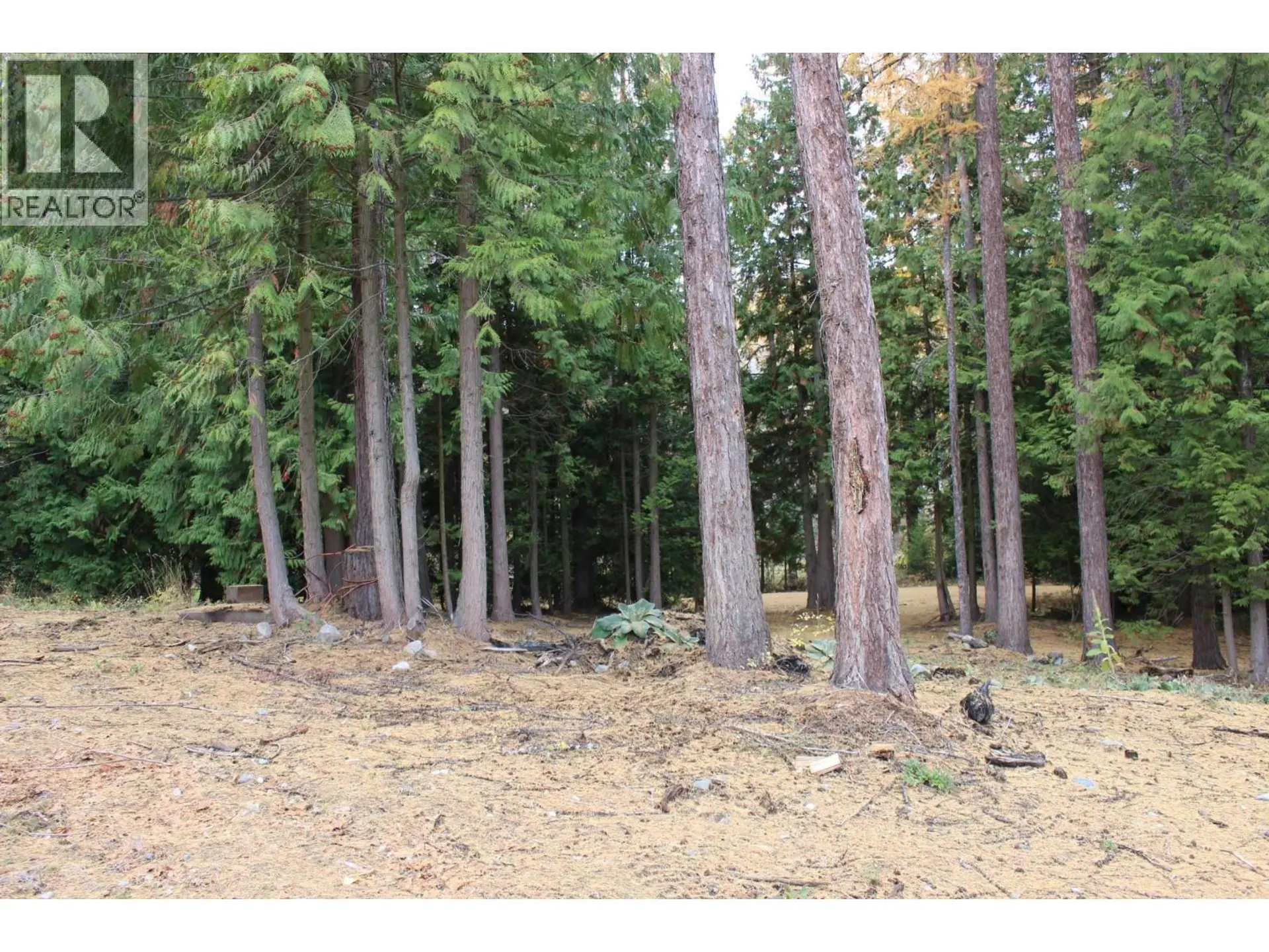 Property at 2640 3B HIGHWAY, Rossland, BC