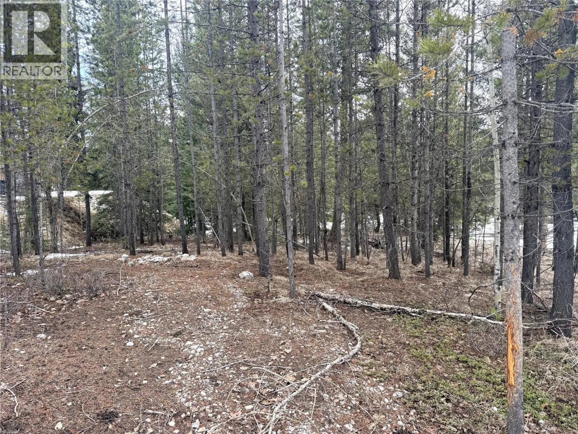 Property at 18 DARBY CRESCENT, Elkford, BC