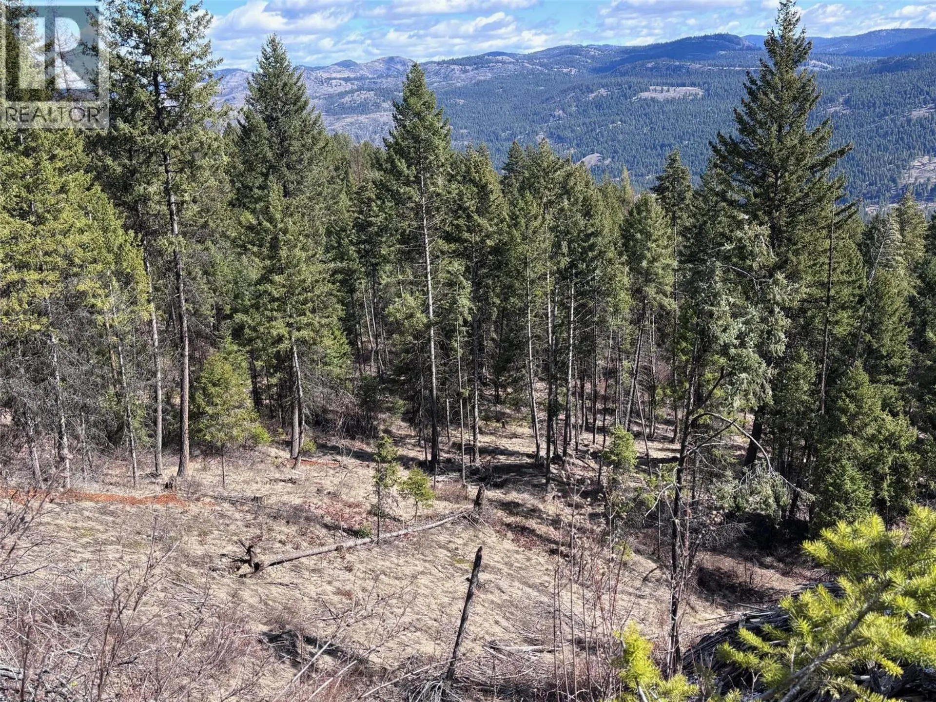Property at LOT 2 HULME CREEK ROAD, Rock Creek, BC