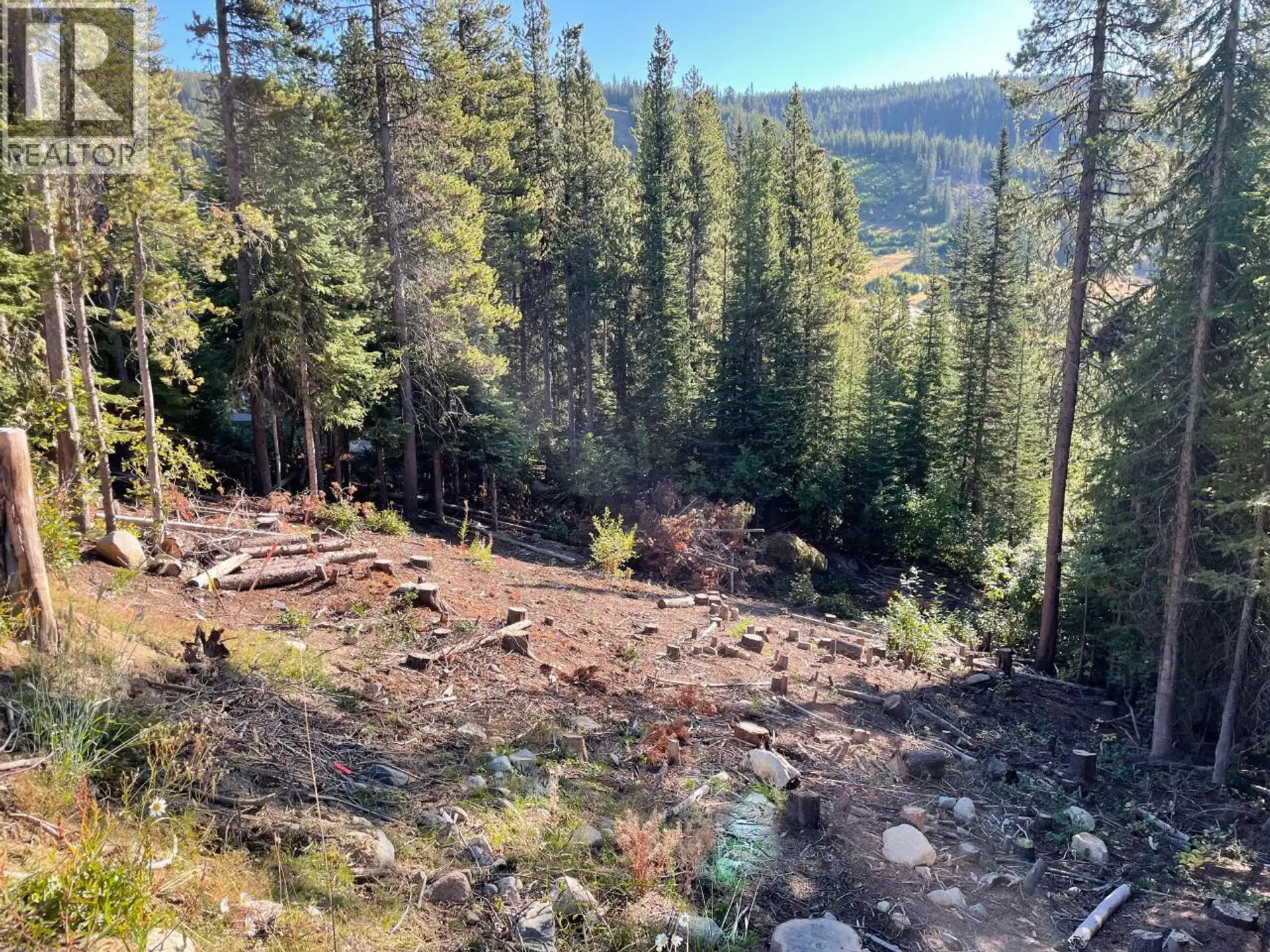 Property at LOT 122 WAPITI CREEK ROAD, Oliver, BC