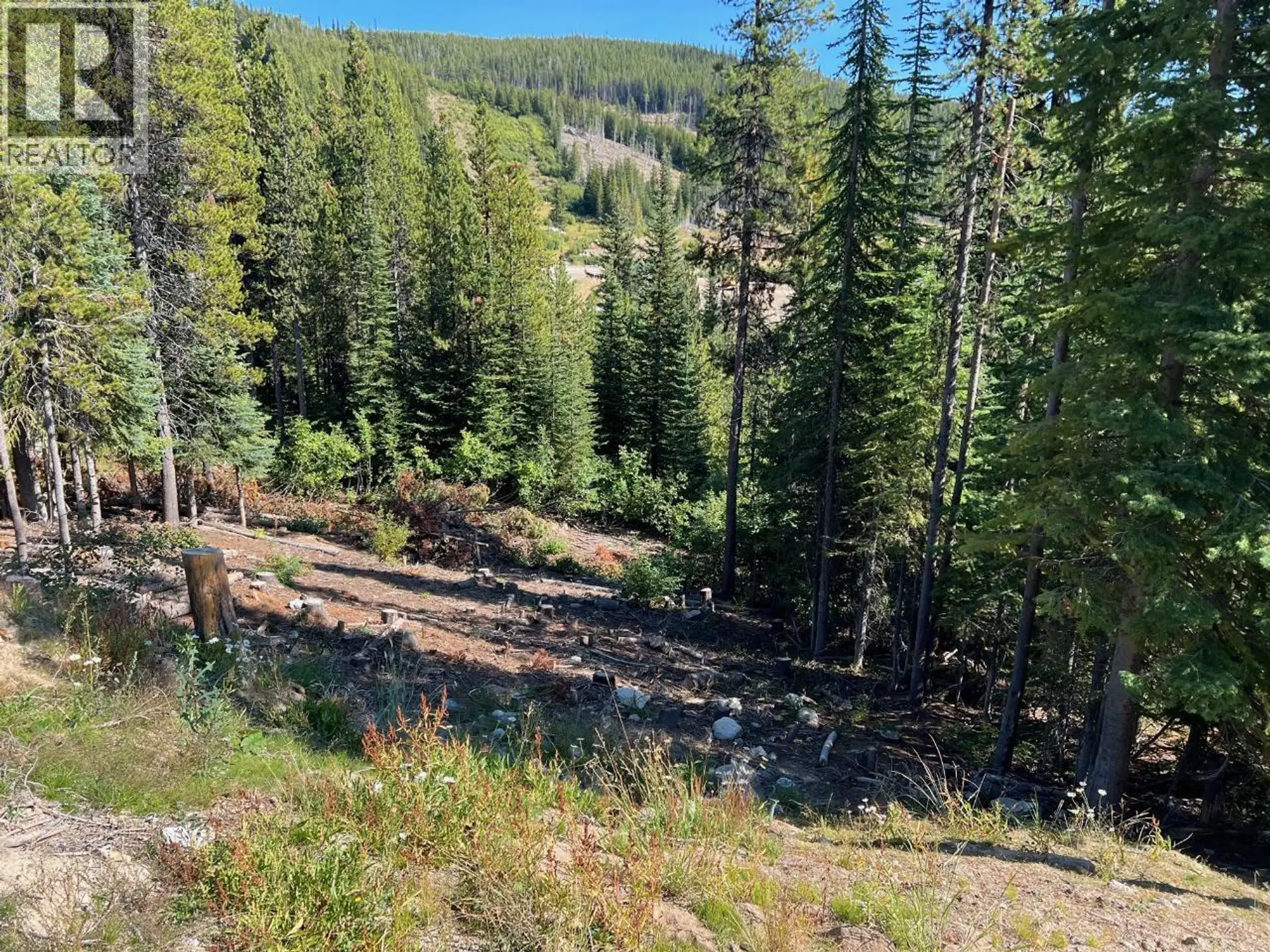 Property at LOT 122 WAPITI CREEK ROAD, Oliver, BC