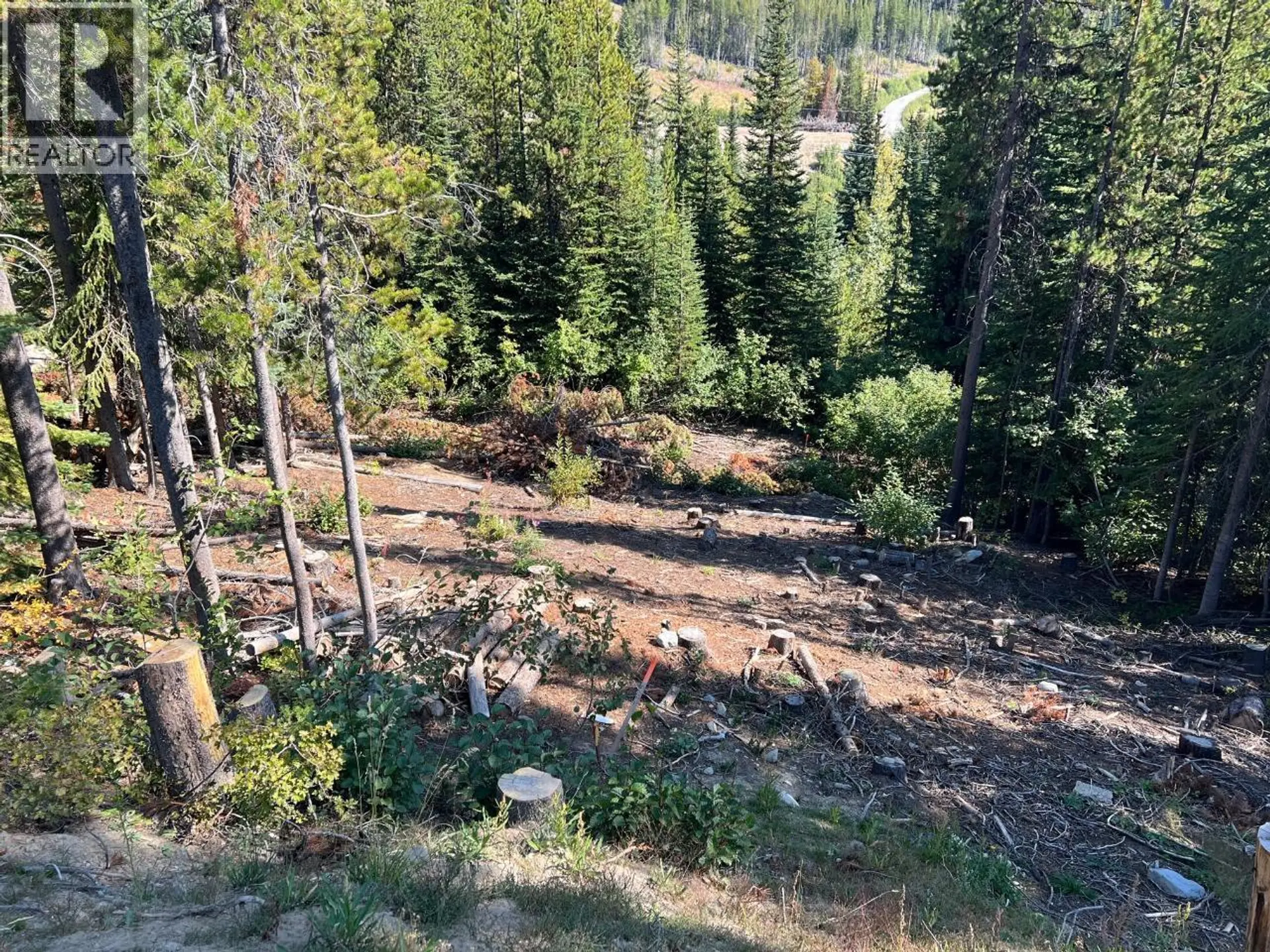 Property at LOT 122 WAPITI CREEK ROAD, Oliver, BC