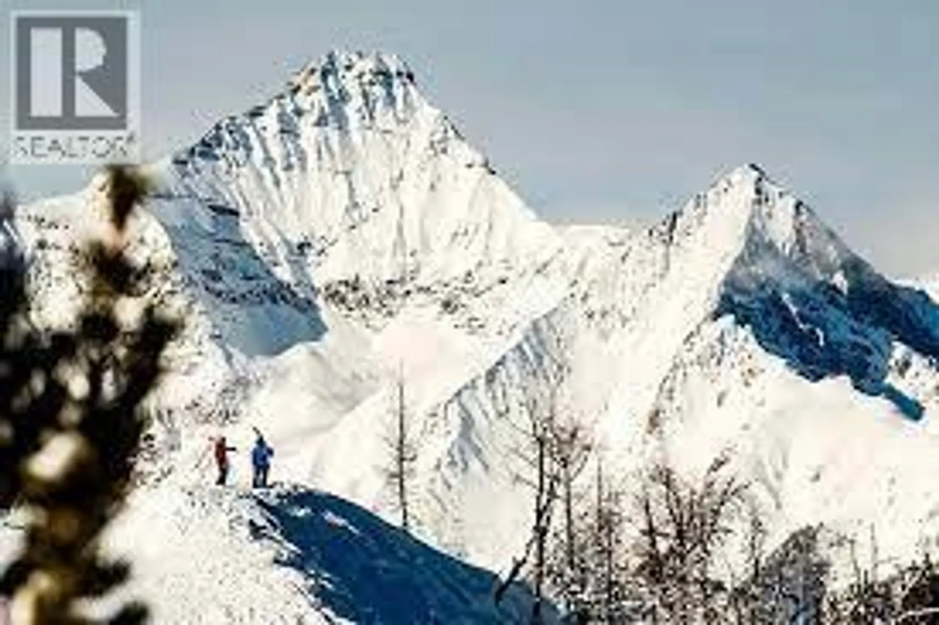 Property at #205 2050 SUMMIT DRIVE, Panorama, BC