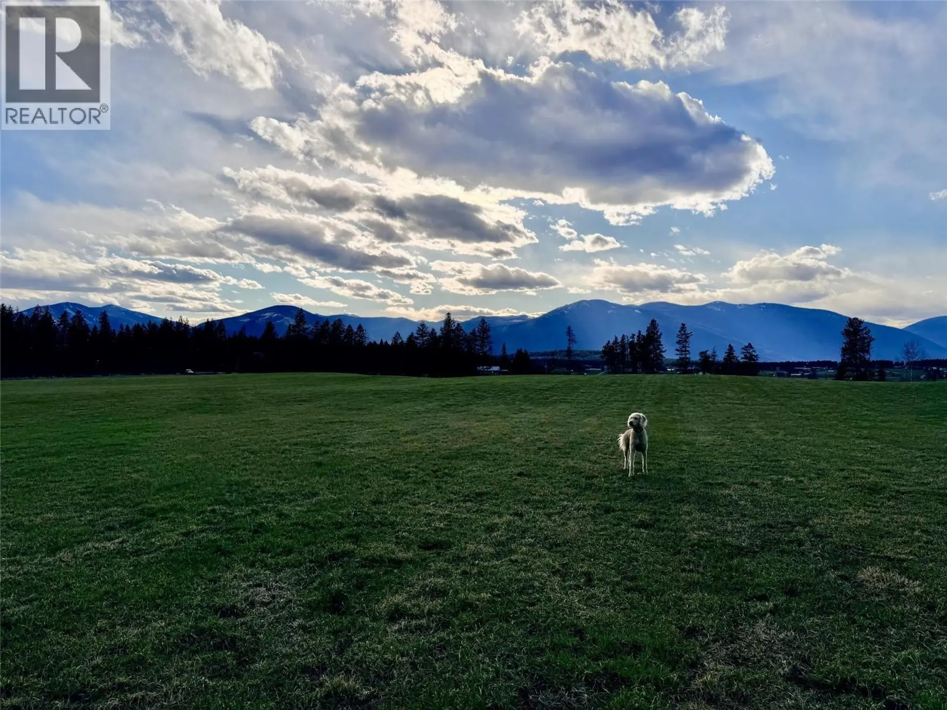 Property at CANYON-LISTER ROAD LOT# LOT 4, Lister, BC