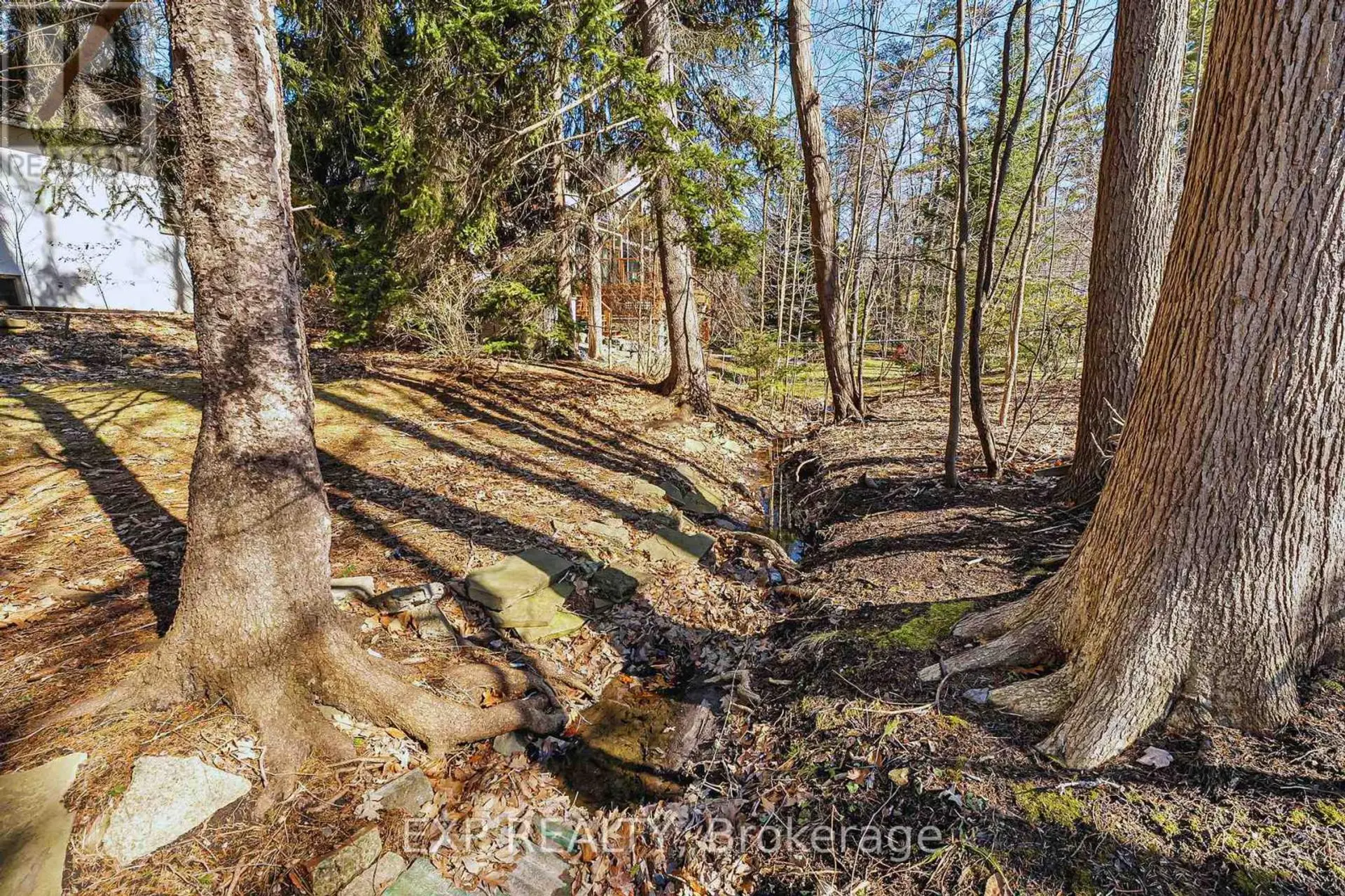 1252 MONA ROAD - Image 8