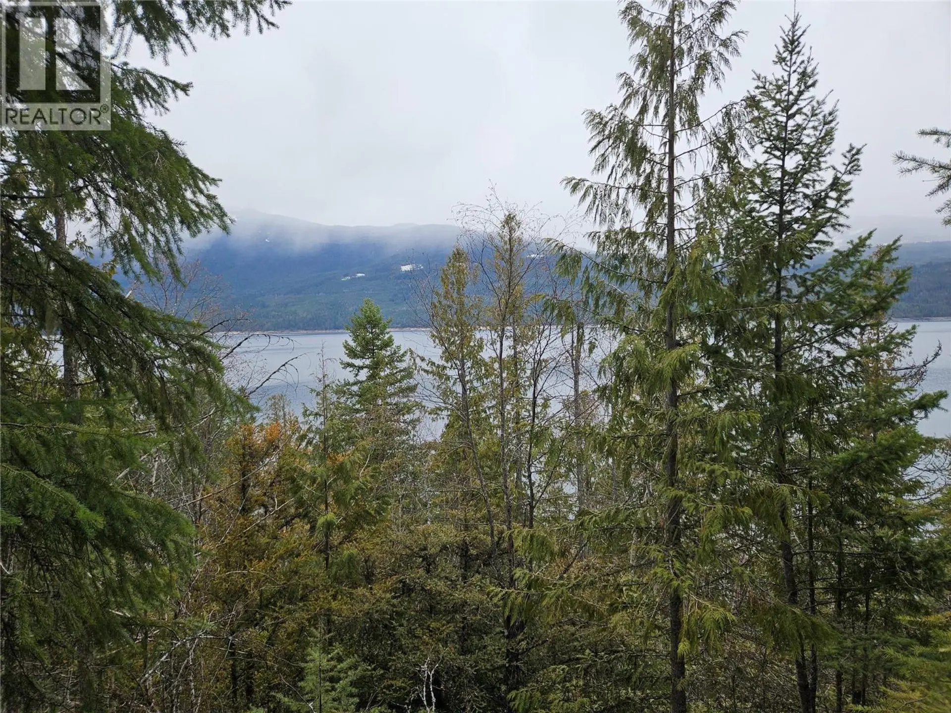 Property at 2180 15TH AVENUE NW, Nakusp, BC