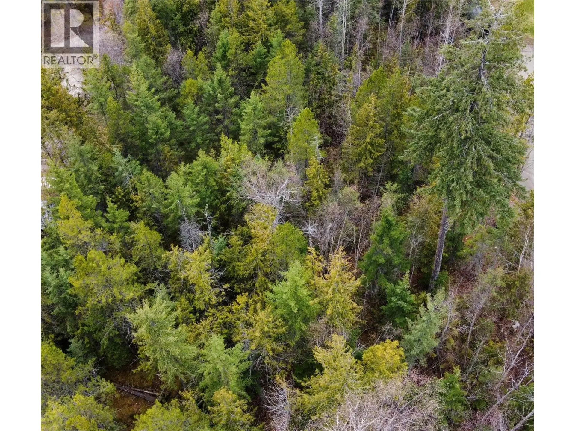 Property at 2180 15TH AVENUE NW, Nakusp, BC