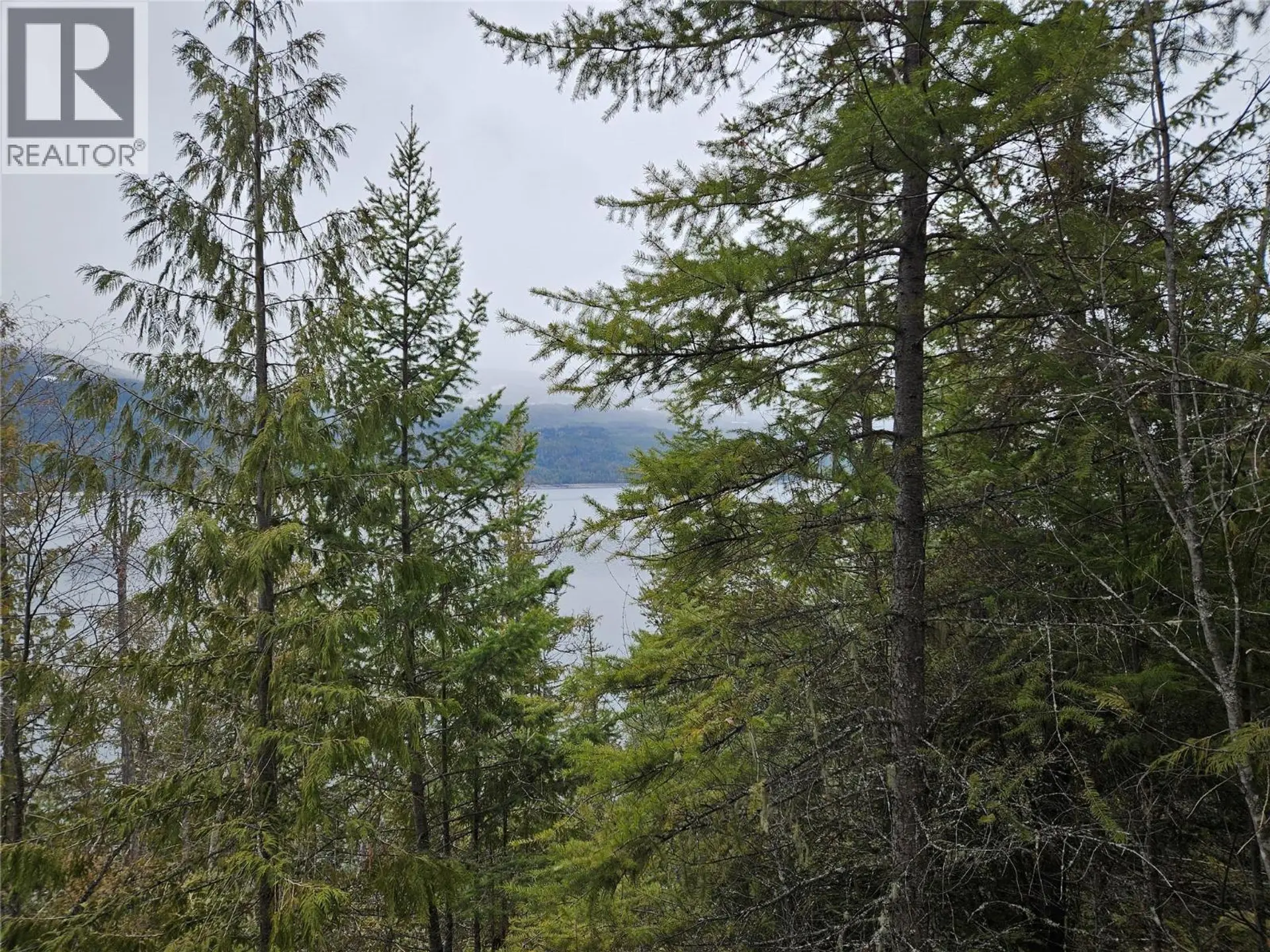 Property at 2180 15TH AVENUE NW, Nakusp, BC