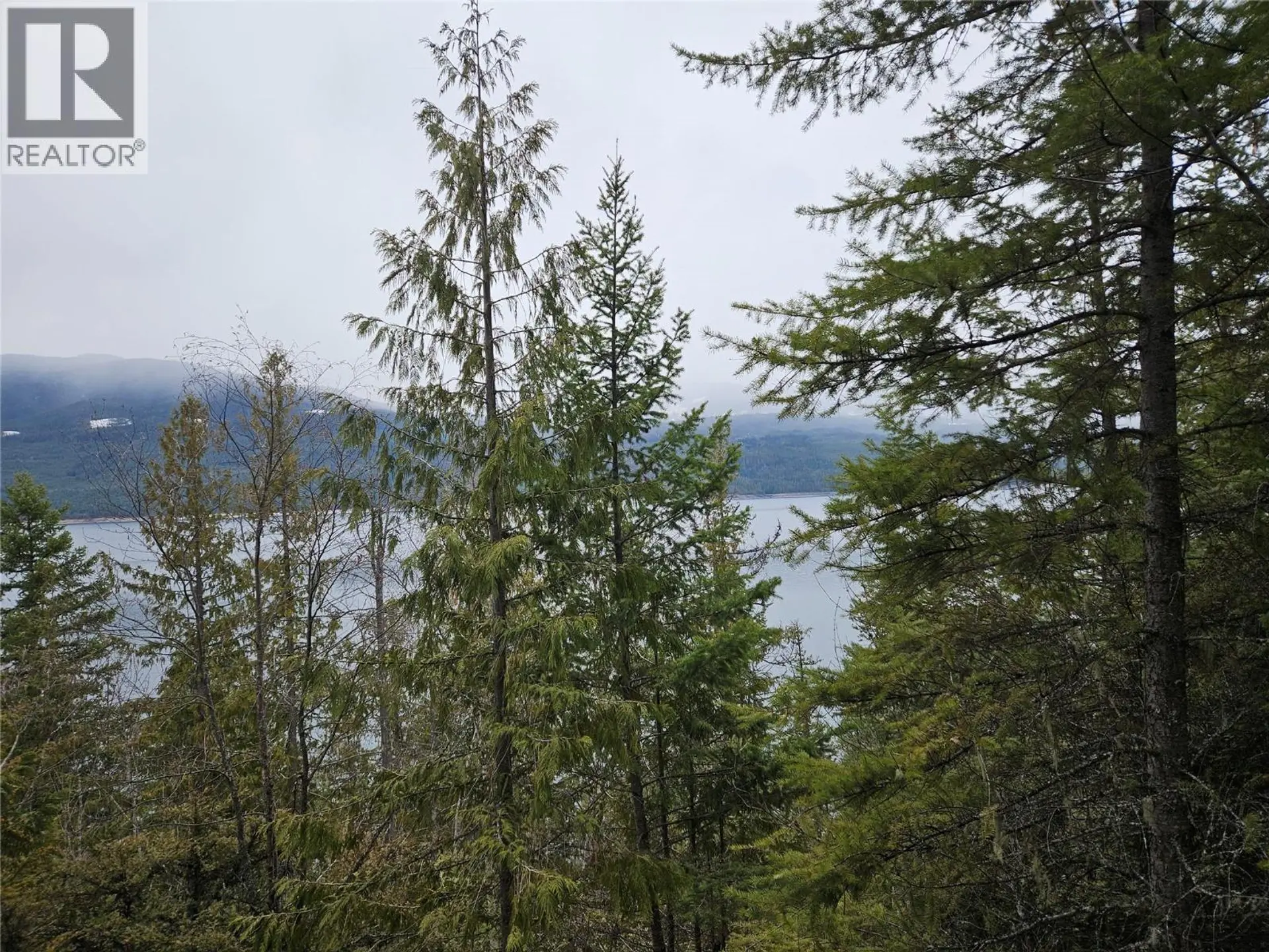 Property at 2180 15TH AVENUE NW, Nakusp, BC