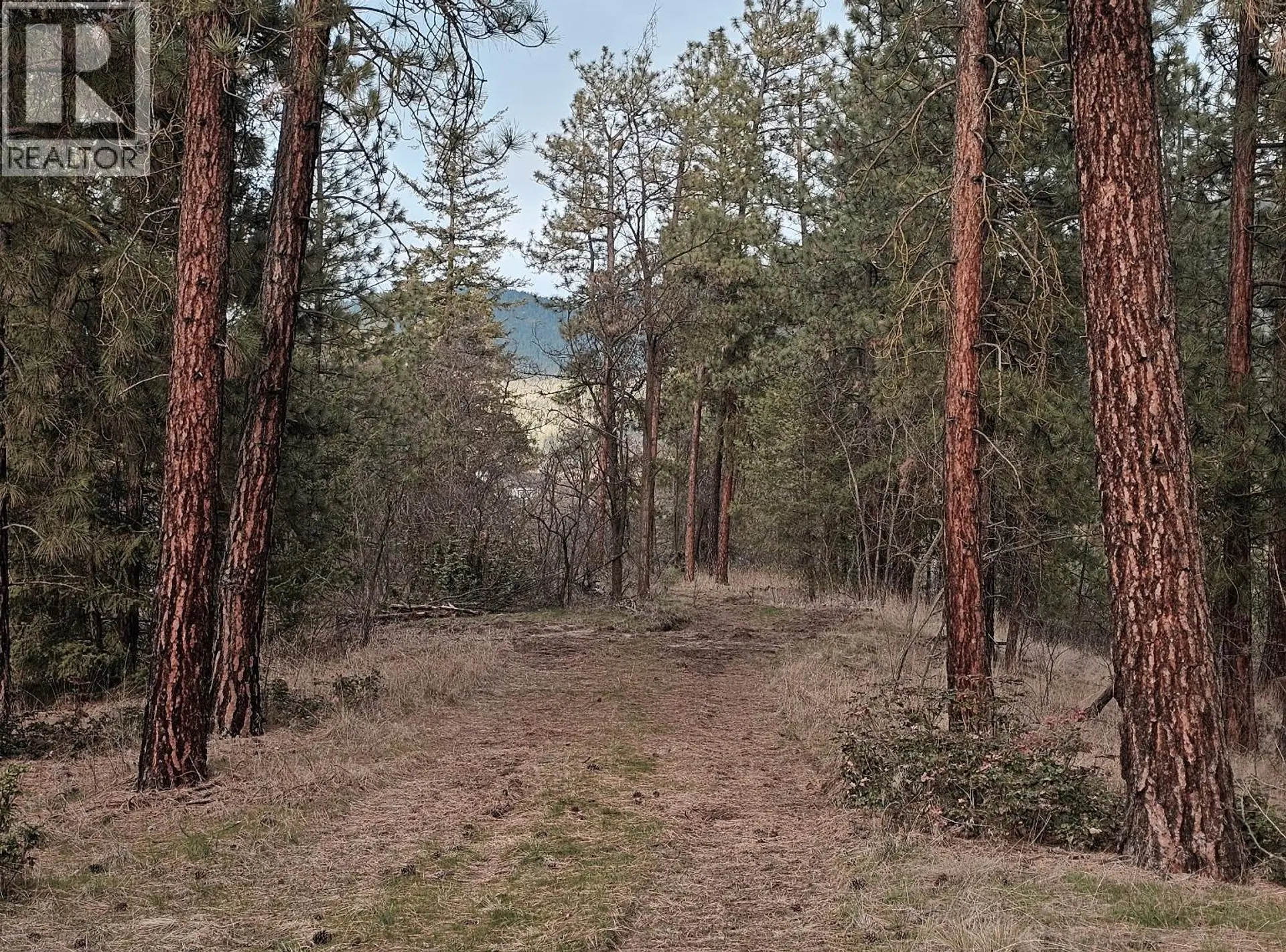 Property at 5440 SILVER STAR ROAD, Vernon, BC