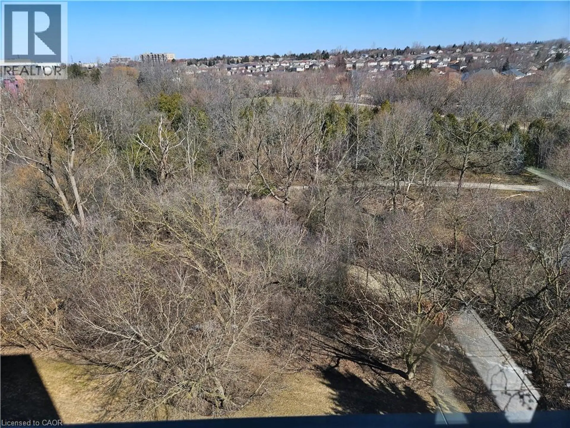 #805 55 BLUE SPRINGS DRIVE - Image 17