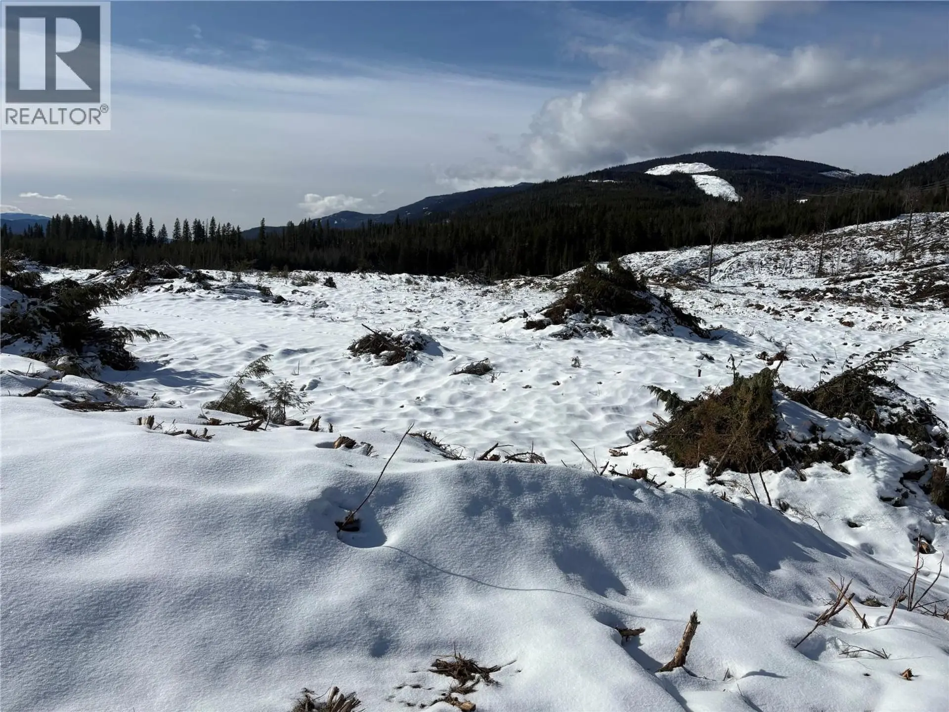 Property at 1020 FOREST SERVICE ROAD SEYMOUR ARM ROAD, Seymour Arm, BC