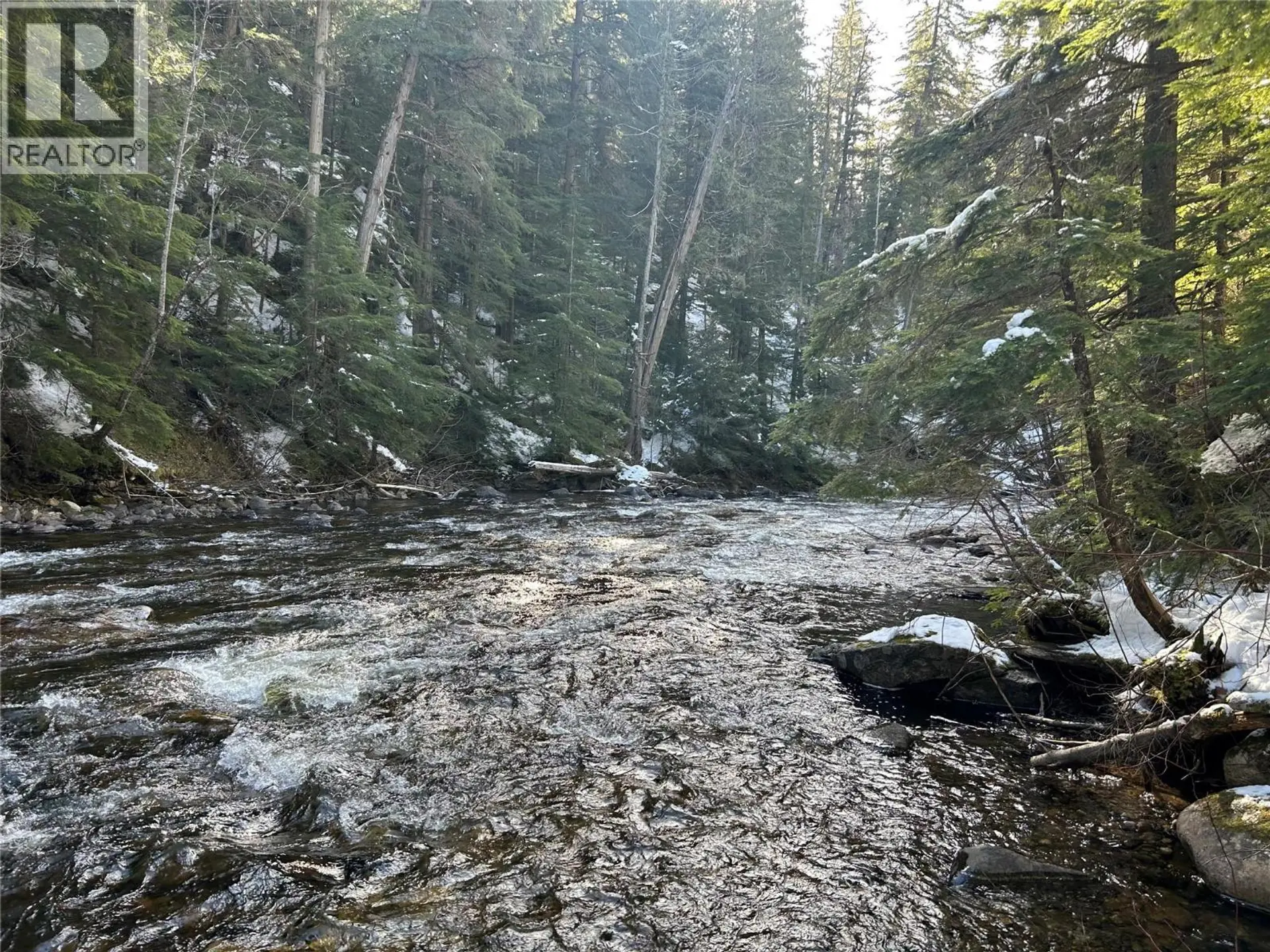 Property at 1020 FOREST SERVICE ROAD SEYMOUR ARM ROAD, Seymour Arm, BC