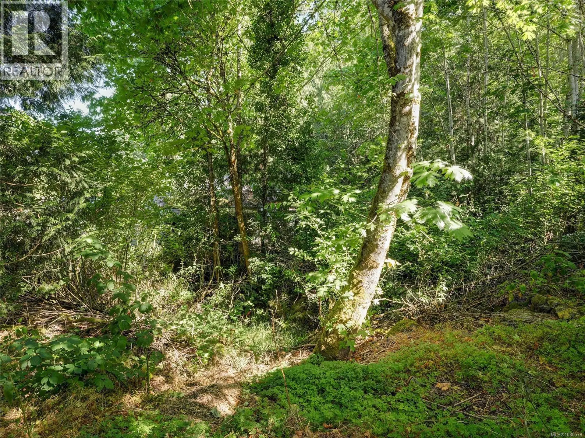 Property at 5142 WEST SAANICH RD, Saanich, BC