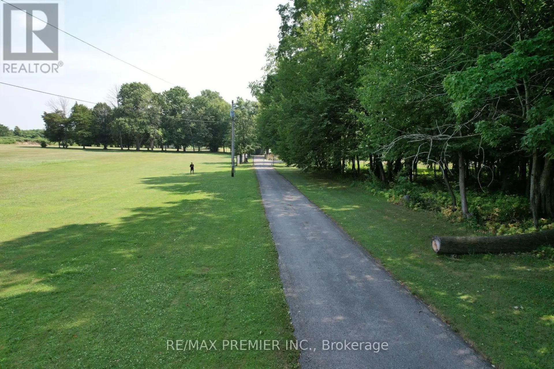 253 MORNING SIDE ROAD - Image 7