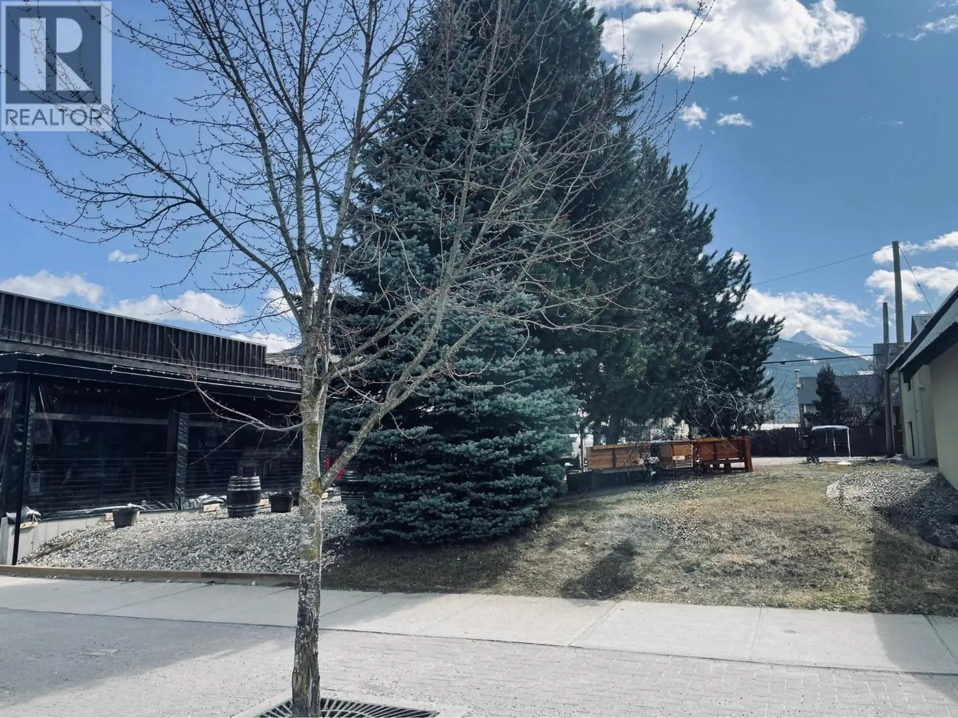 Property at 310 MACKENZIE AVENUE, Revelstoke, BC