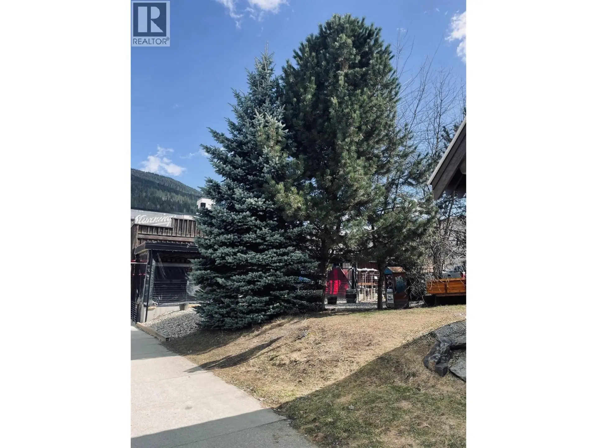 Property at 310 MACKENZIE AVENUE, Revelstoke, BC