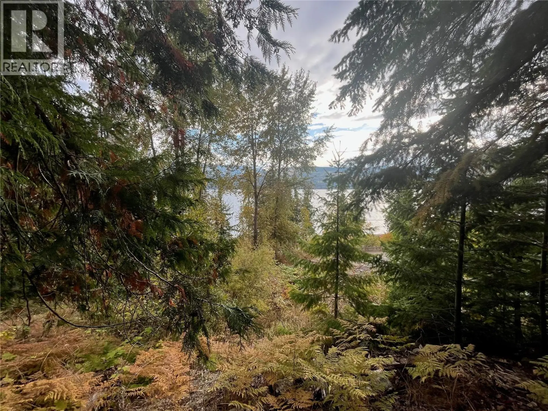 Property at SQUILAX ANGLEMONT ROAD LOT# 4, Anglemont, BC