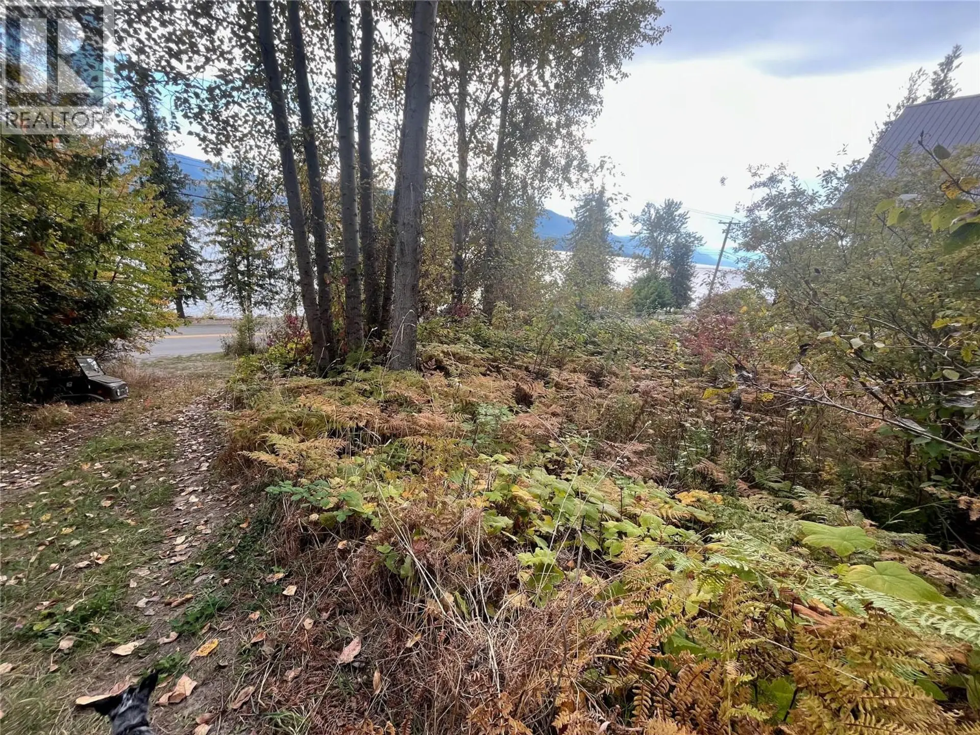 Property at SQUILAX ANGLEMONT ROAD LOT# 4, Anglemont, BC