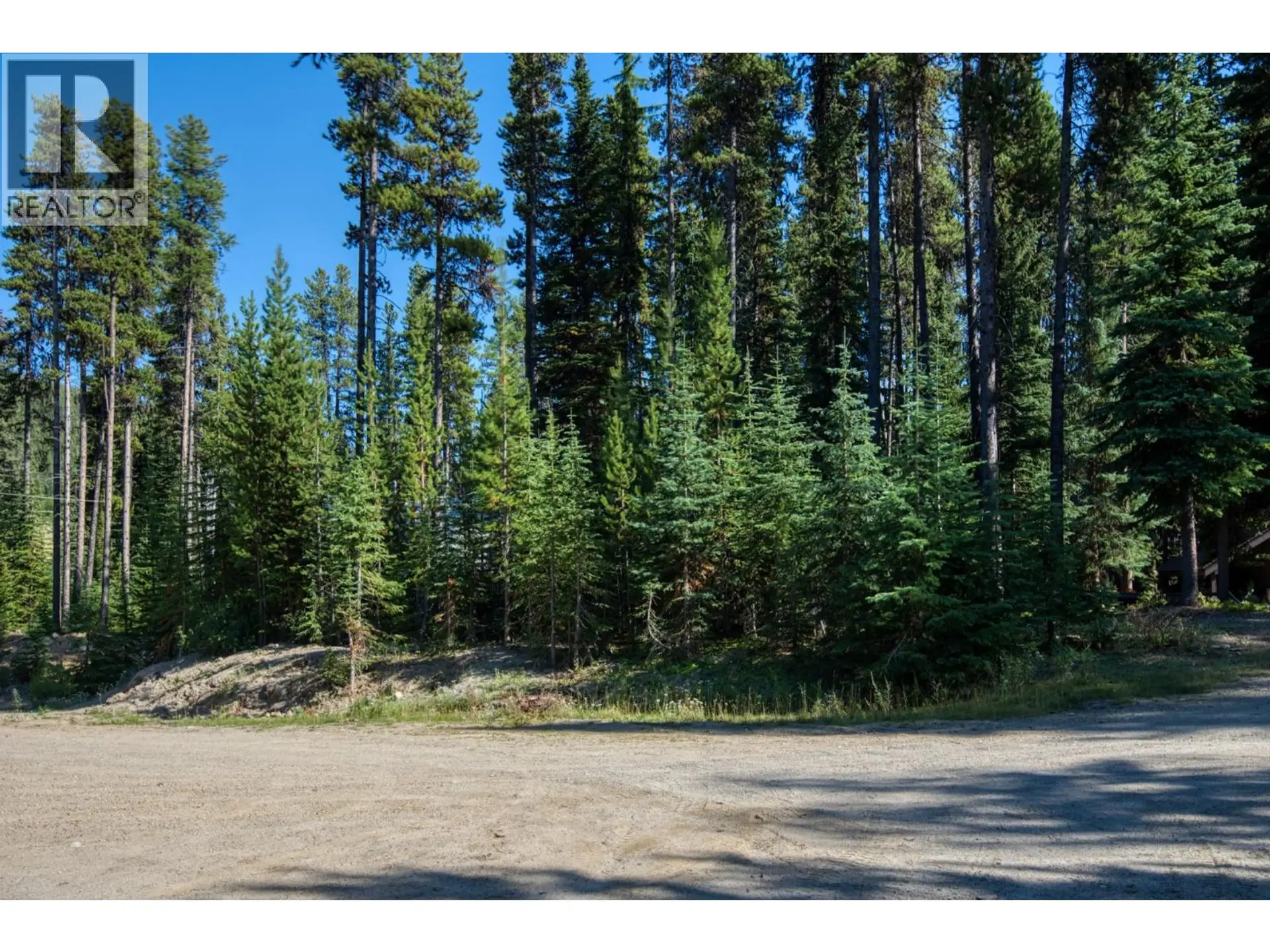 Property at 105 CAHILL PLACE, Apex Mountain, BC