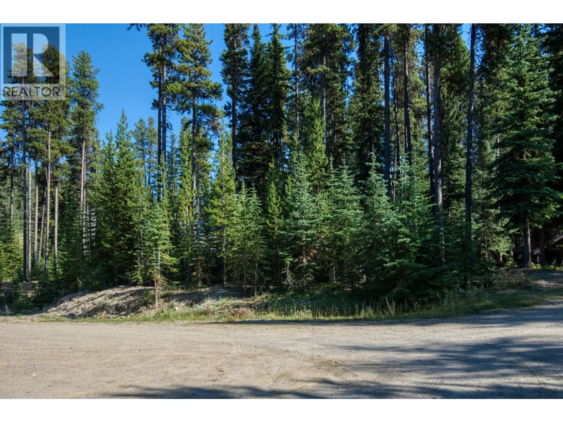 Property at 105 CAHILL PLACE, Apex Mountain, BC