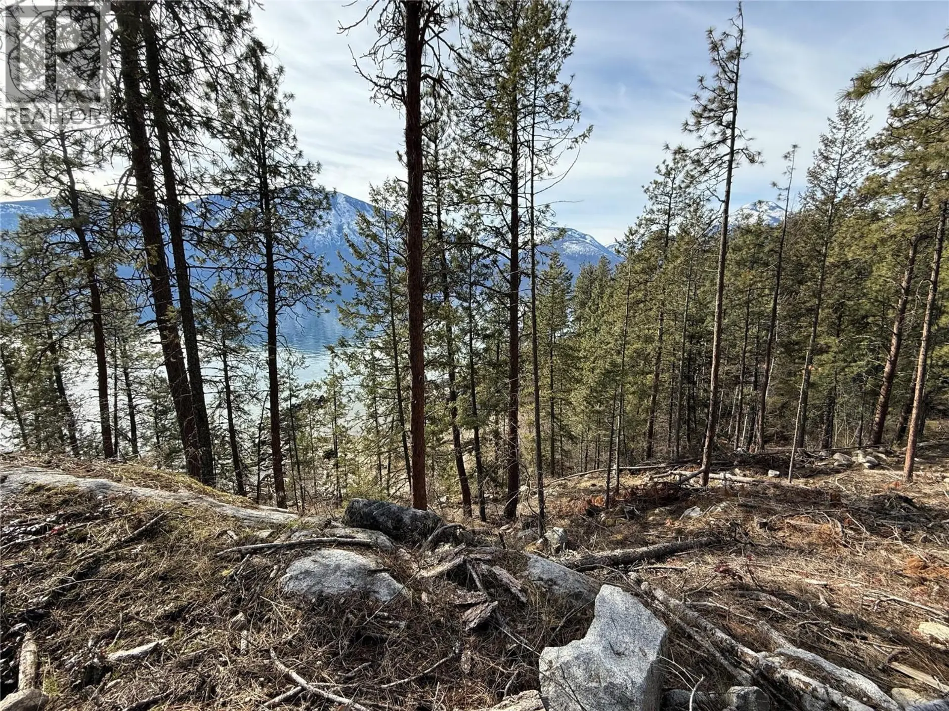 Property at #C 9779 3A HIGHWAY, Kuskanook, BC