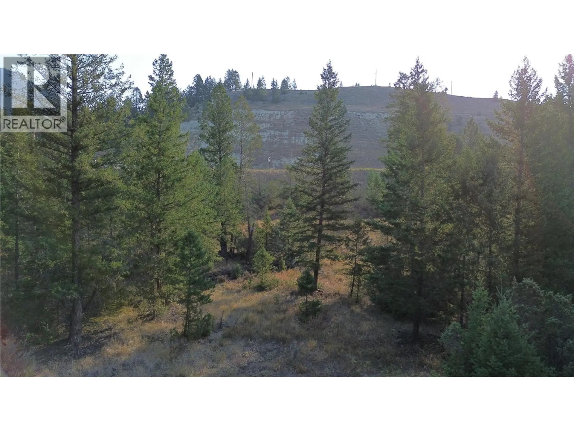 Property at 4962 SADDLEWOOD LANE, Radium Hot Springs, BC