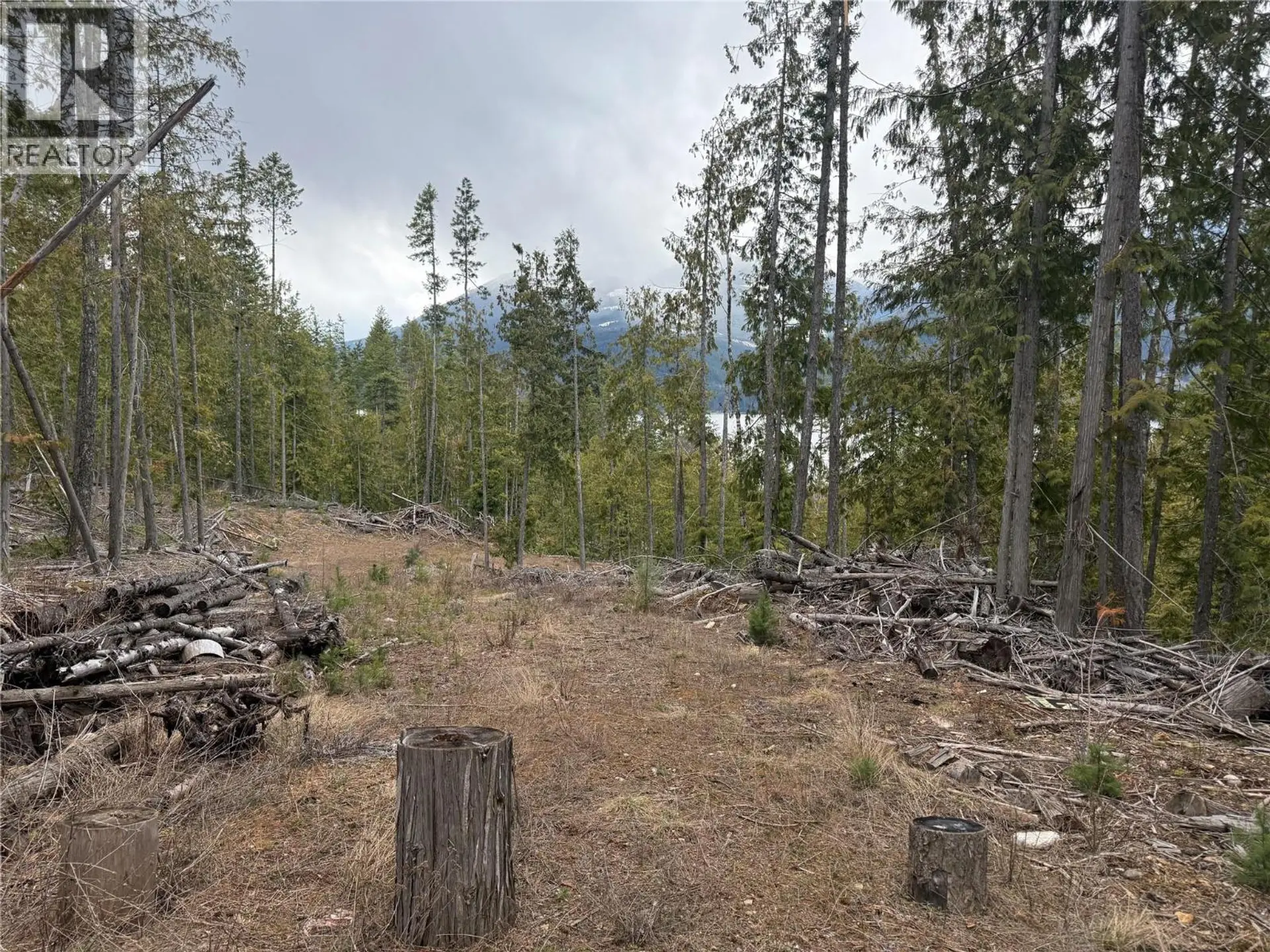 Property at 503 RIONDEL ROAD, Riondel, BC