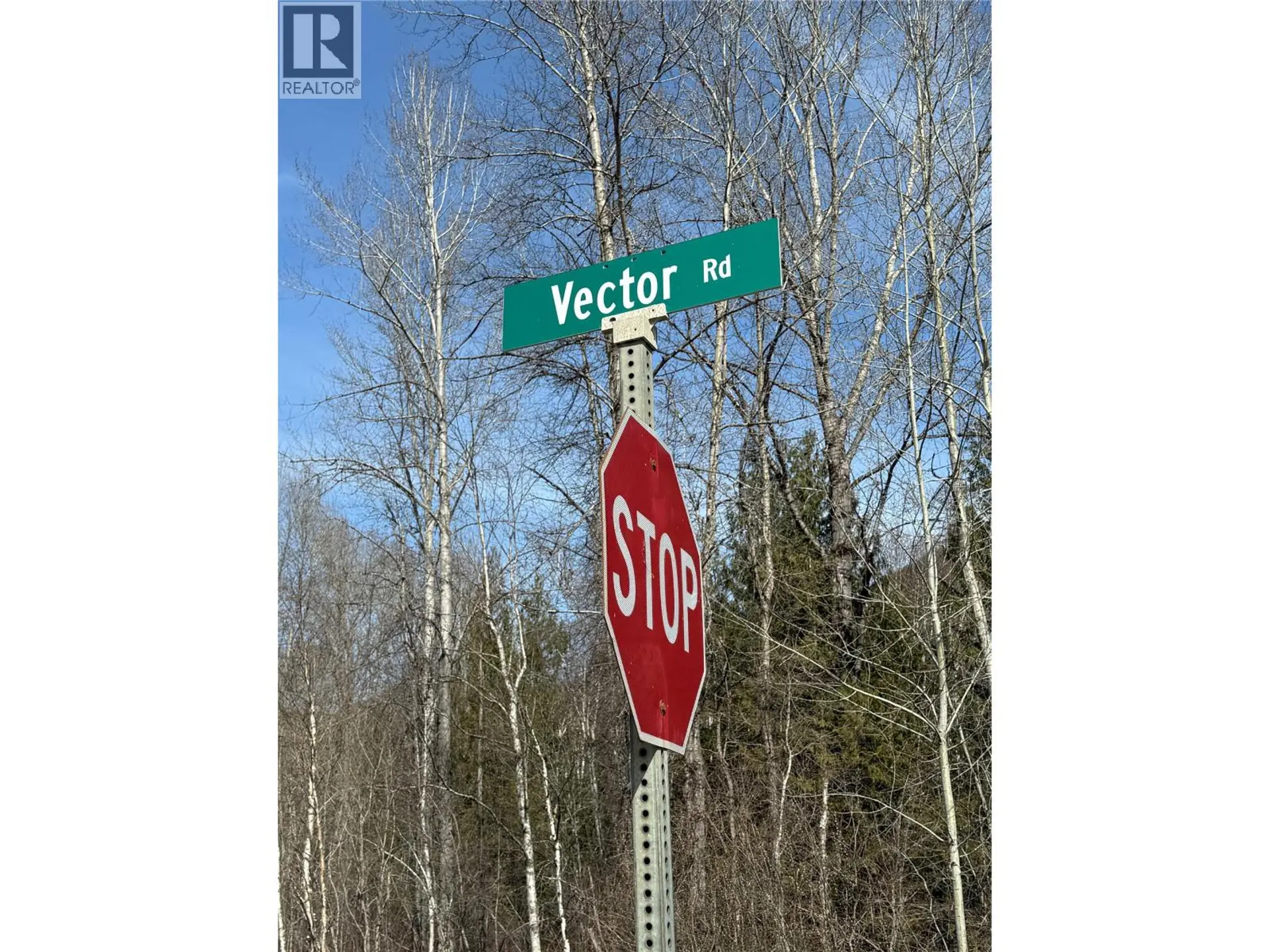 Property at VECTOR ROAD LOT# 4, Salmo, BC